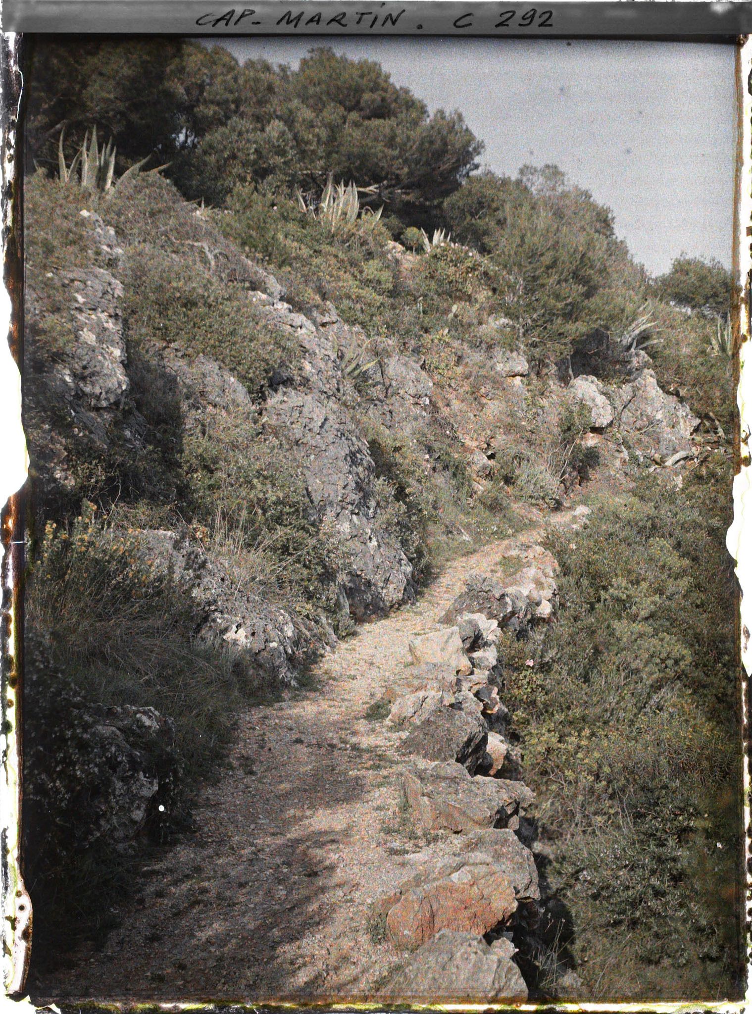 Image représentant Cap-Martin - Chin au bord de la mer