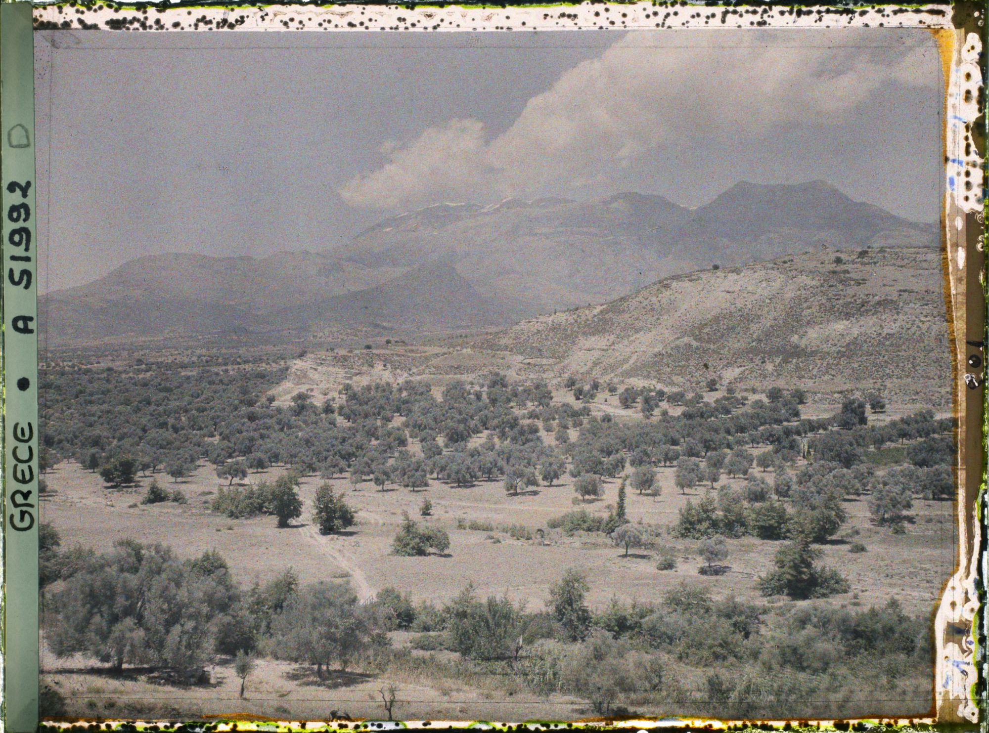 Image représentant La plaine de Messara et le mont Ida