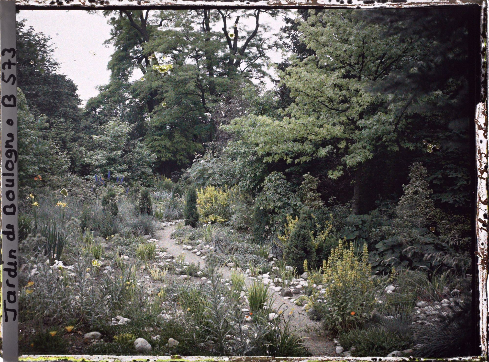 Image représentant Chemin ponctué de galets, diverses plantes et conifères, menant vers le fond du " sanctuaire japonais "