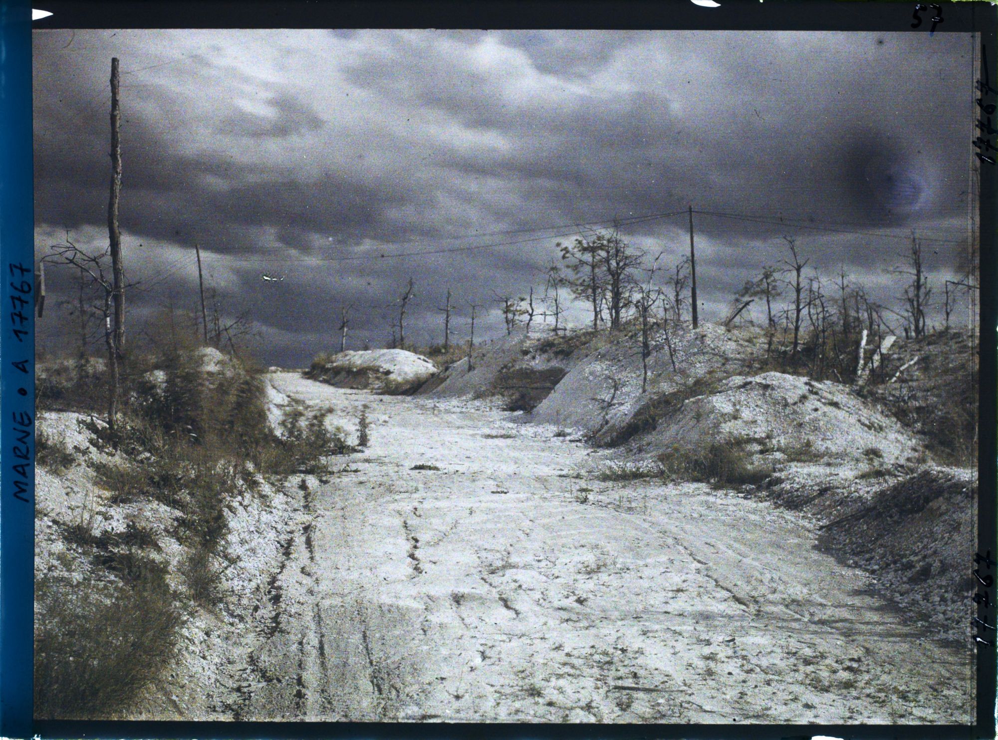 Image représentant France, Mt Muret, Au mont Muret - la piste 3