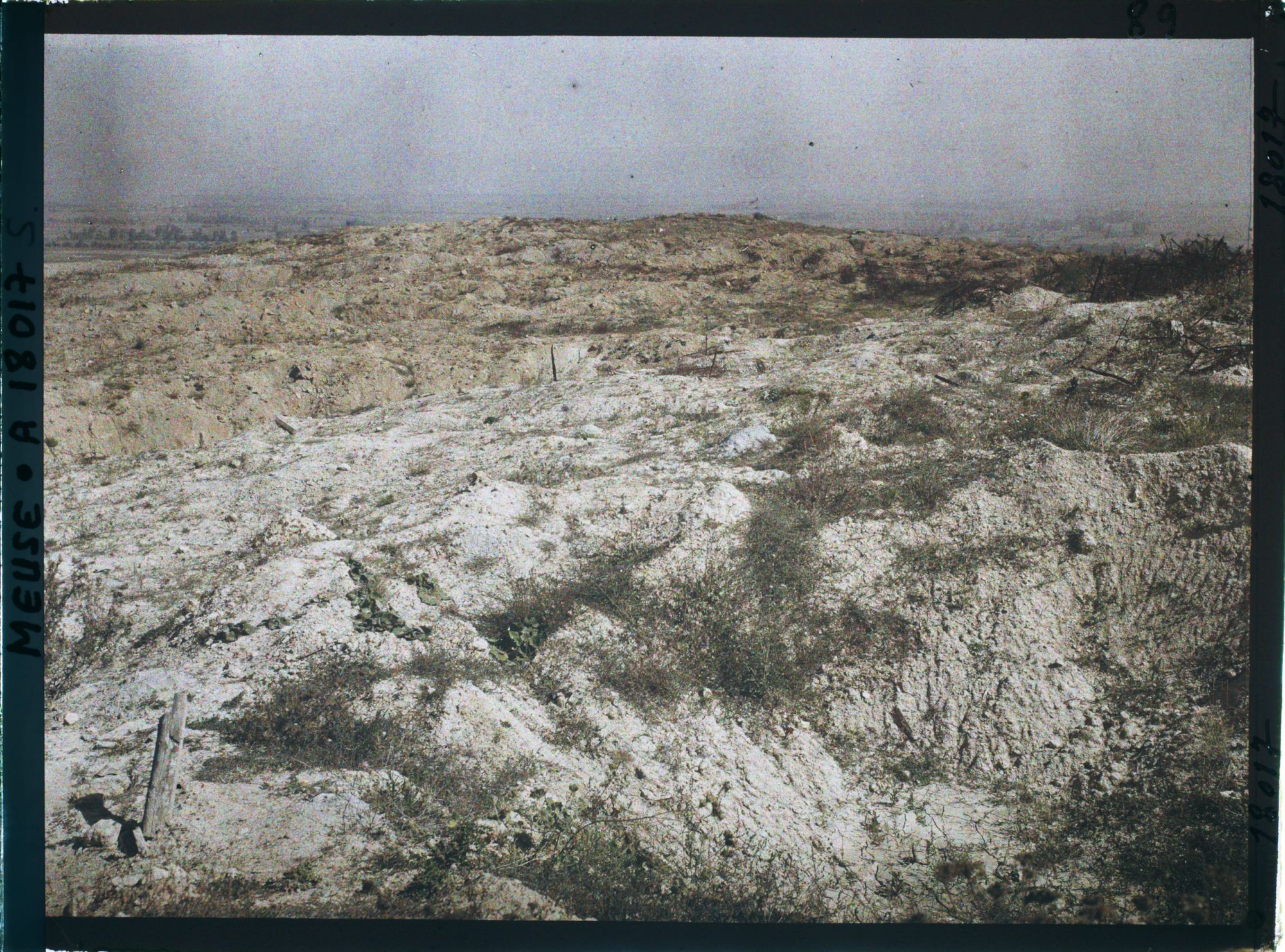 Image représentant France, Les Eparges, Terrain bouleversé par les Obus