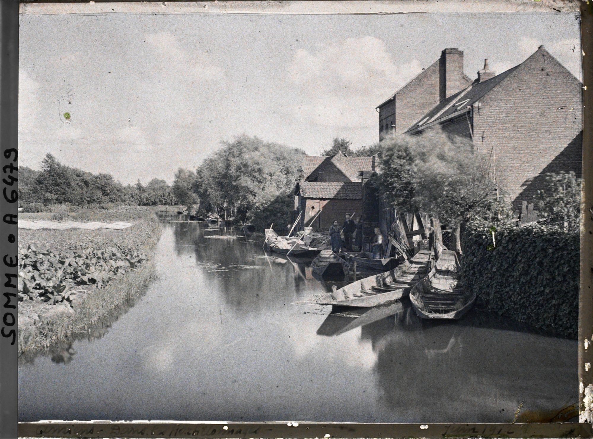 Image représentant France, Amiens, Dans les hortillonnages