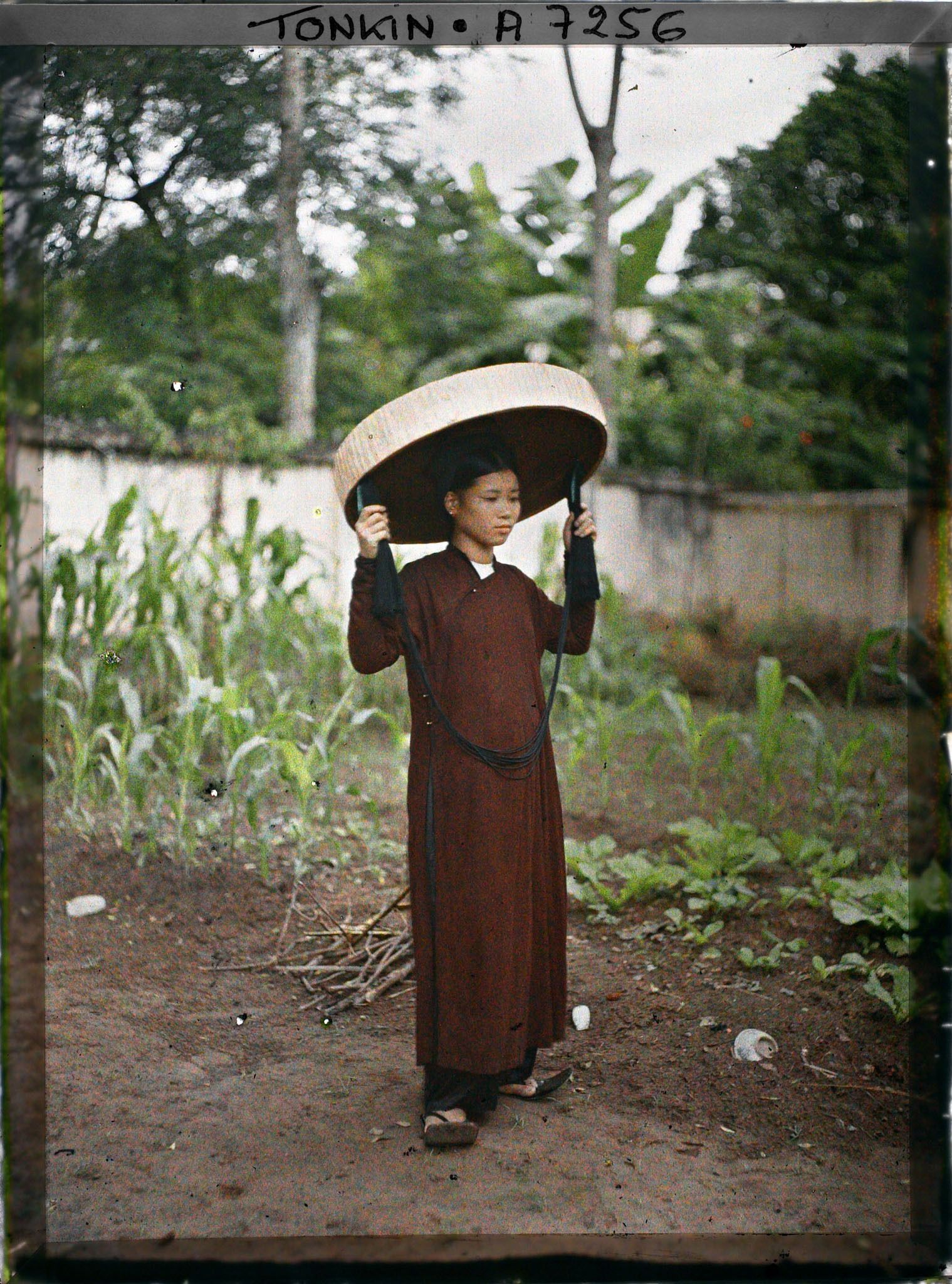 Image représentant Portrait d'une jeune femme de classe aisée, portant le grand chapeau en feuilles de latanier