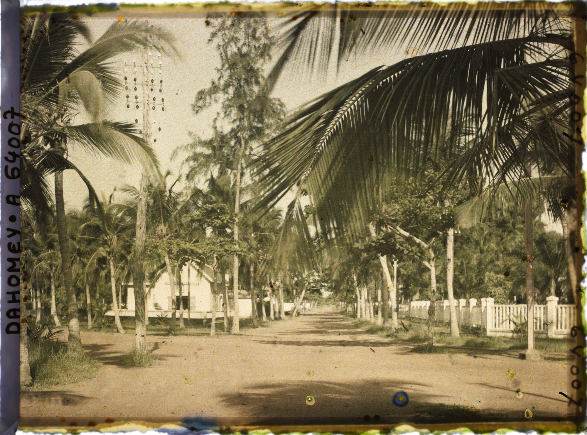 Image représentant Intersection d'avenues dans le quartier européen, présence de ligne télégraphique suspendue aux arbres