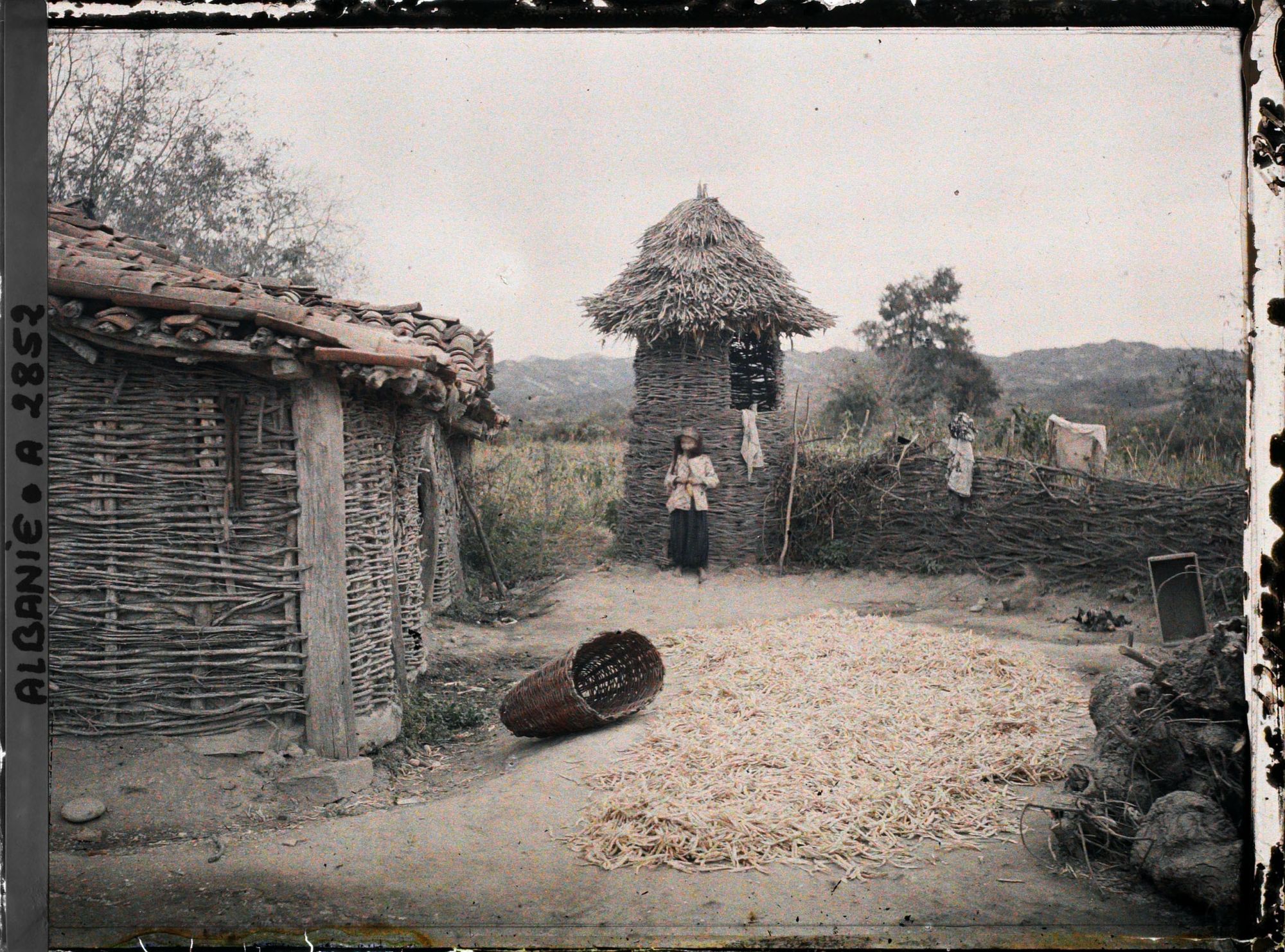 Image représentant Guérite pour le maïs et haricots qui sèchent dans le domaine agricole d'Essad Pacha