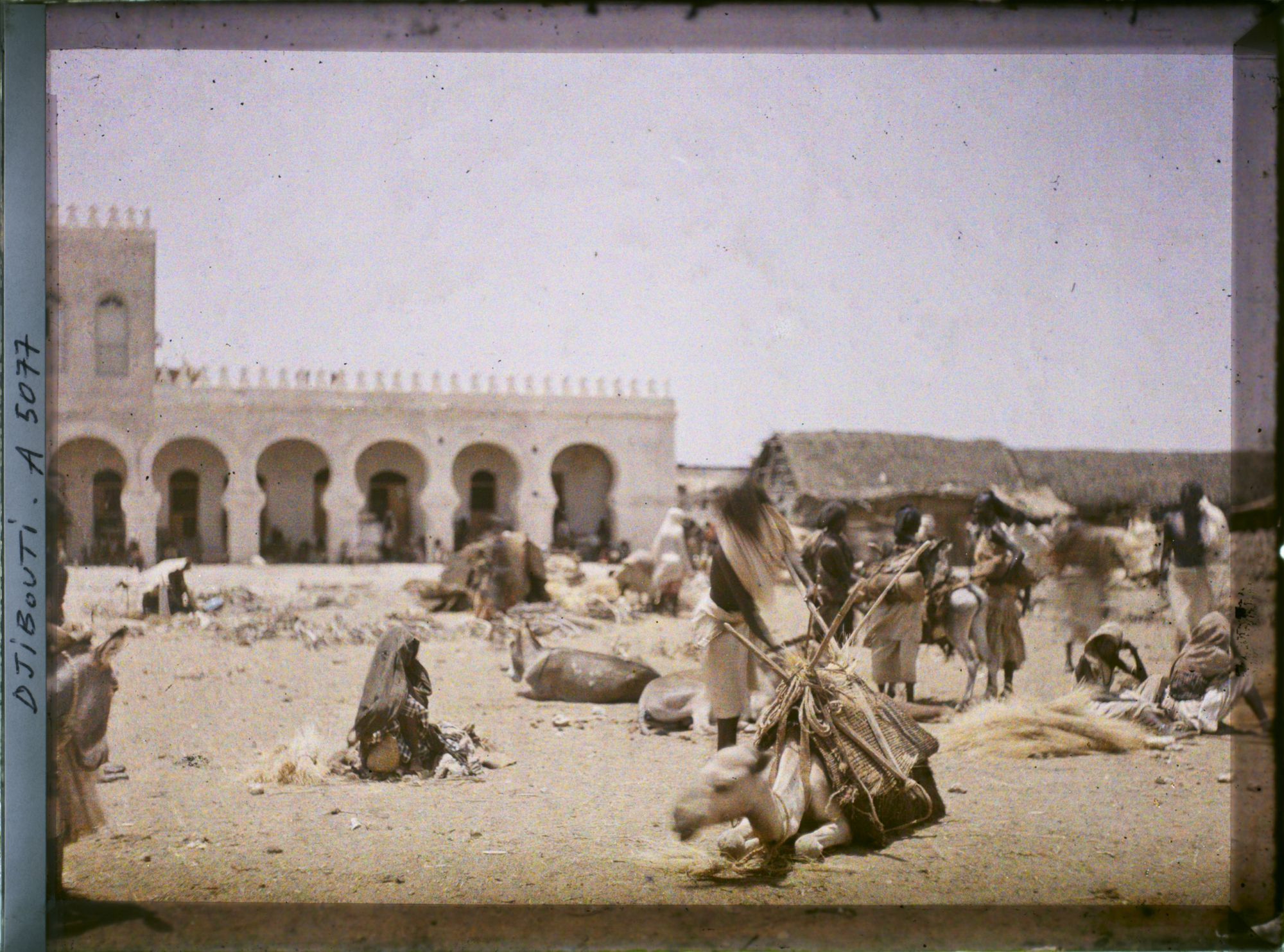 Image représentant Le marché au bois