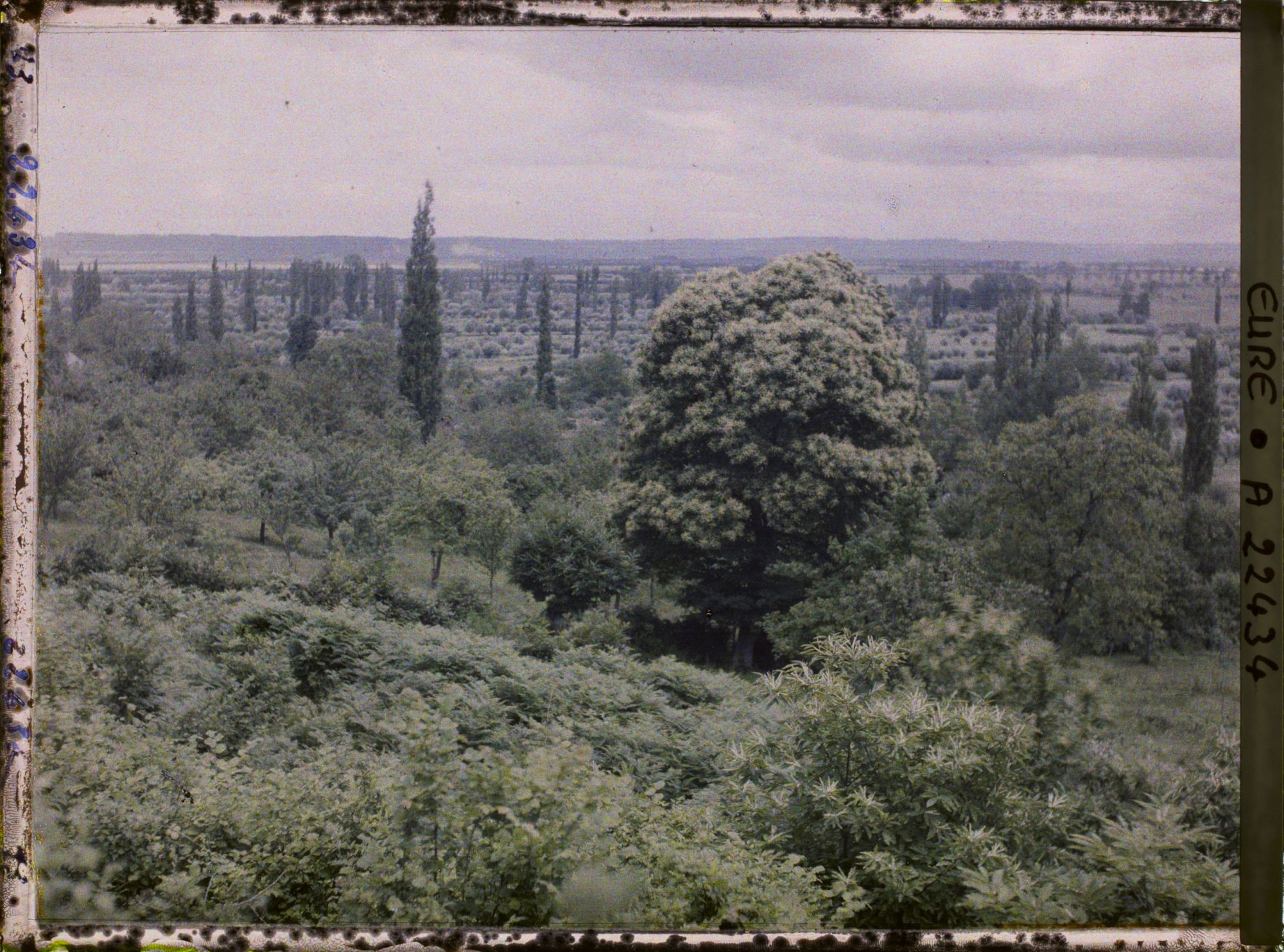 Image représentant Les Marais-Vernier pris de plus bas
