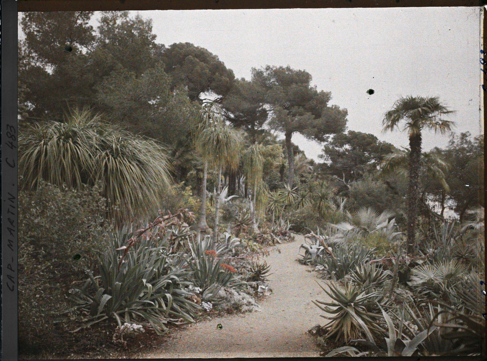 Image représentant Cap Martin Le Jardin