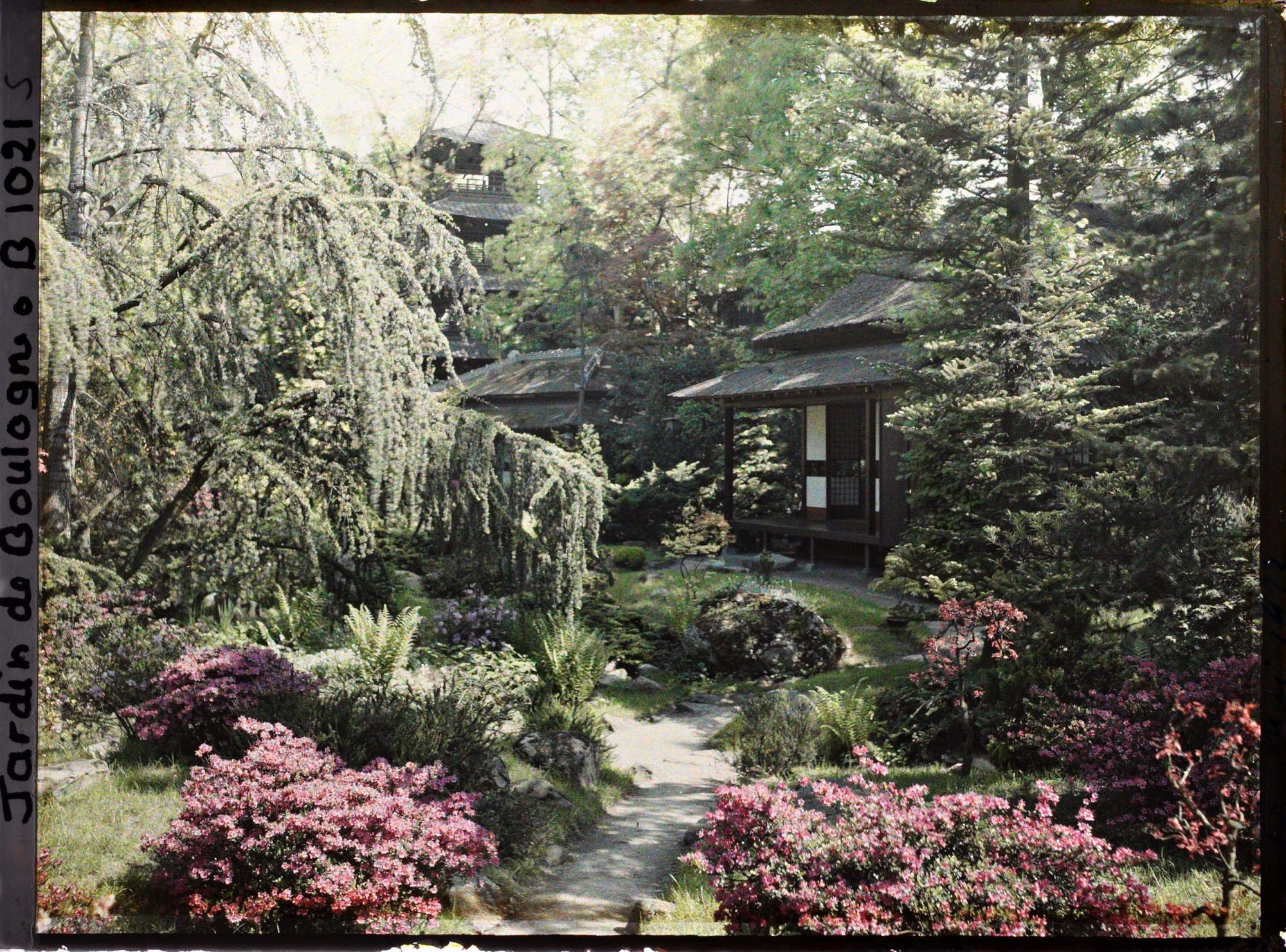 Image représentant Étroit chemin menant à la maison ouest du " village japonais ", puis en direction du jardin anglais