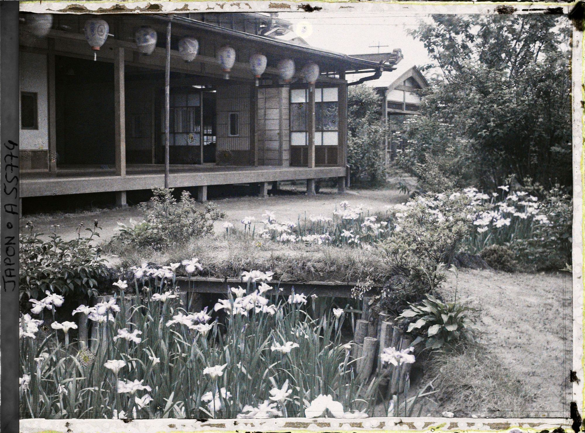 Image représentant Jardin d'iris de Horikiri
