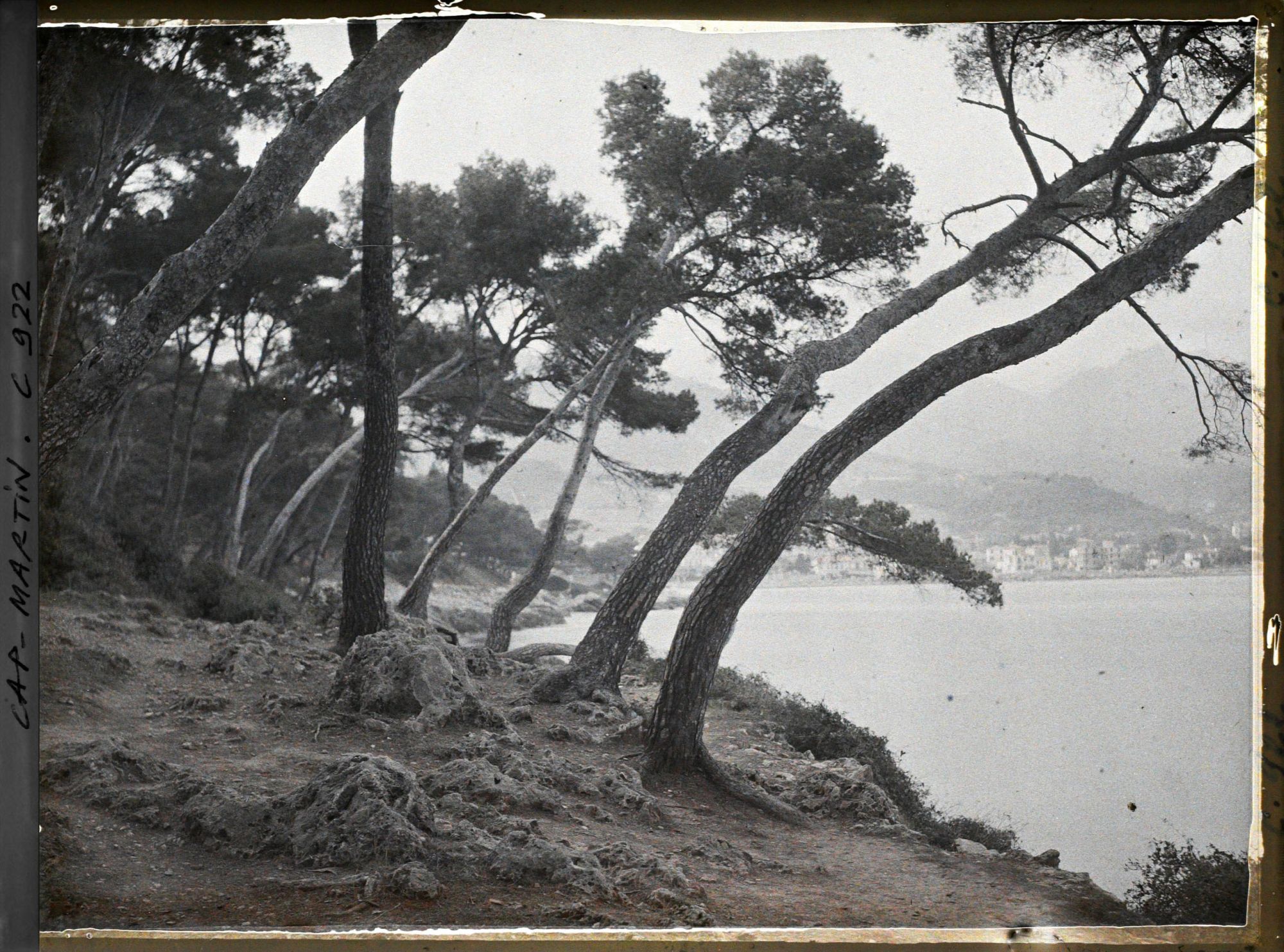 Image représentant Bords de la mer vers Menton