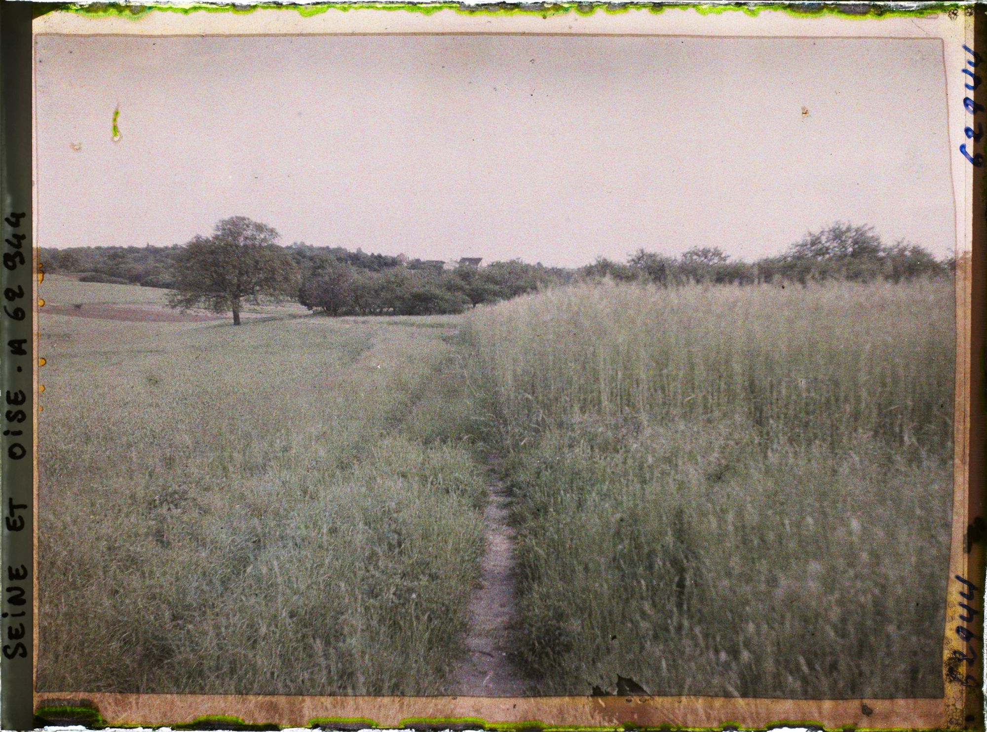 Image représentant Ile de France, Frepillon, Cultures diverses