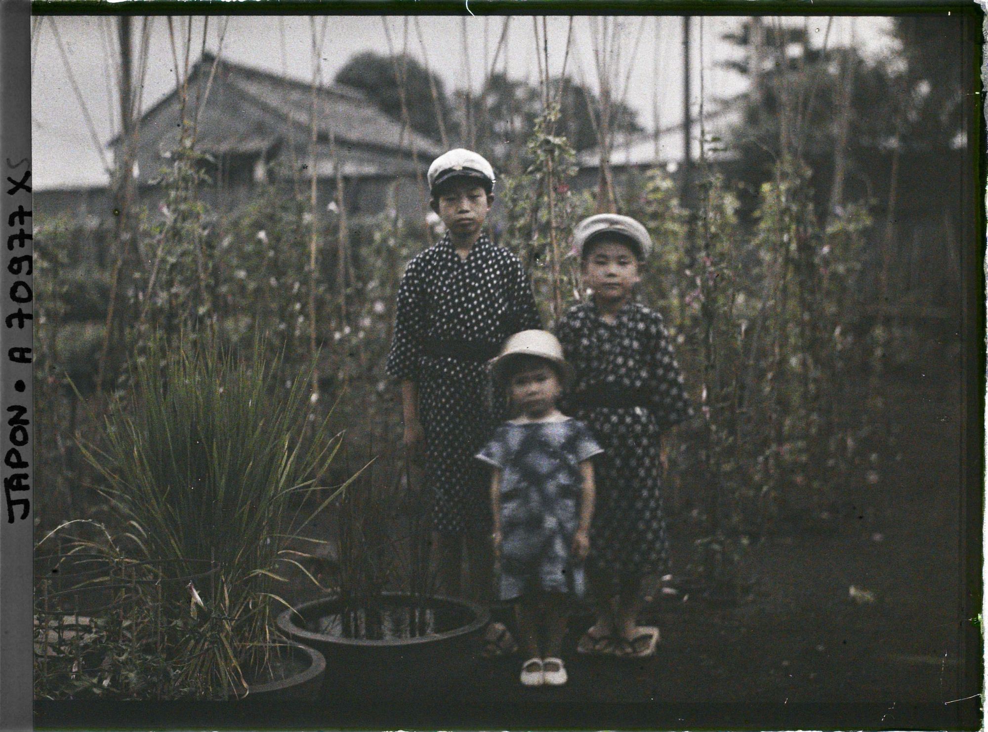 Image représentant Pépinière privée (?)