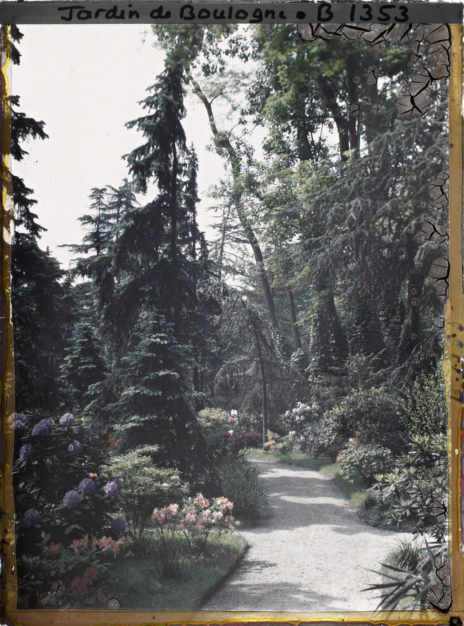 Image représentant l'allée qui longe le laboratoire, en direction de la grande pelouse