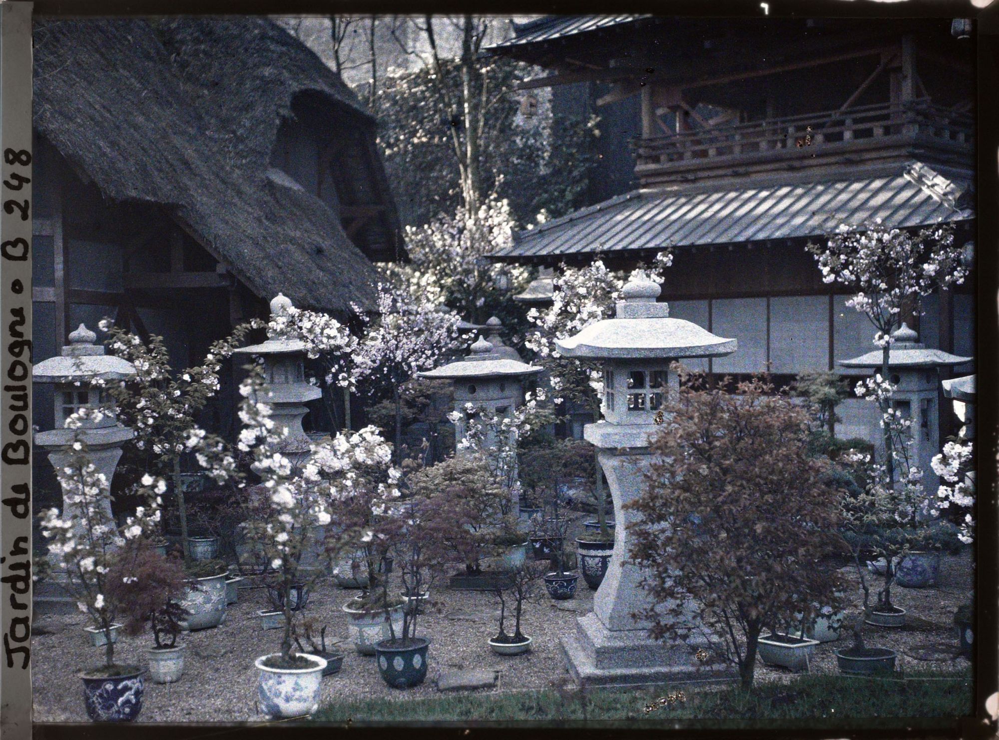 Image représentant Lanternes, bonsaïs et arbres en fleurs devant la pagode du " village japonais "