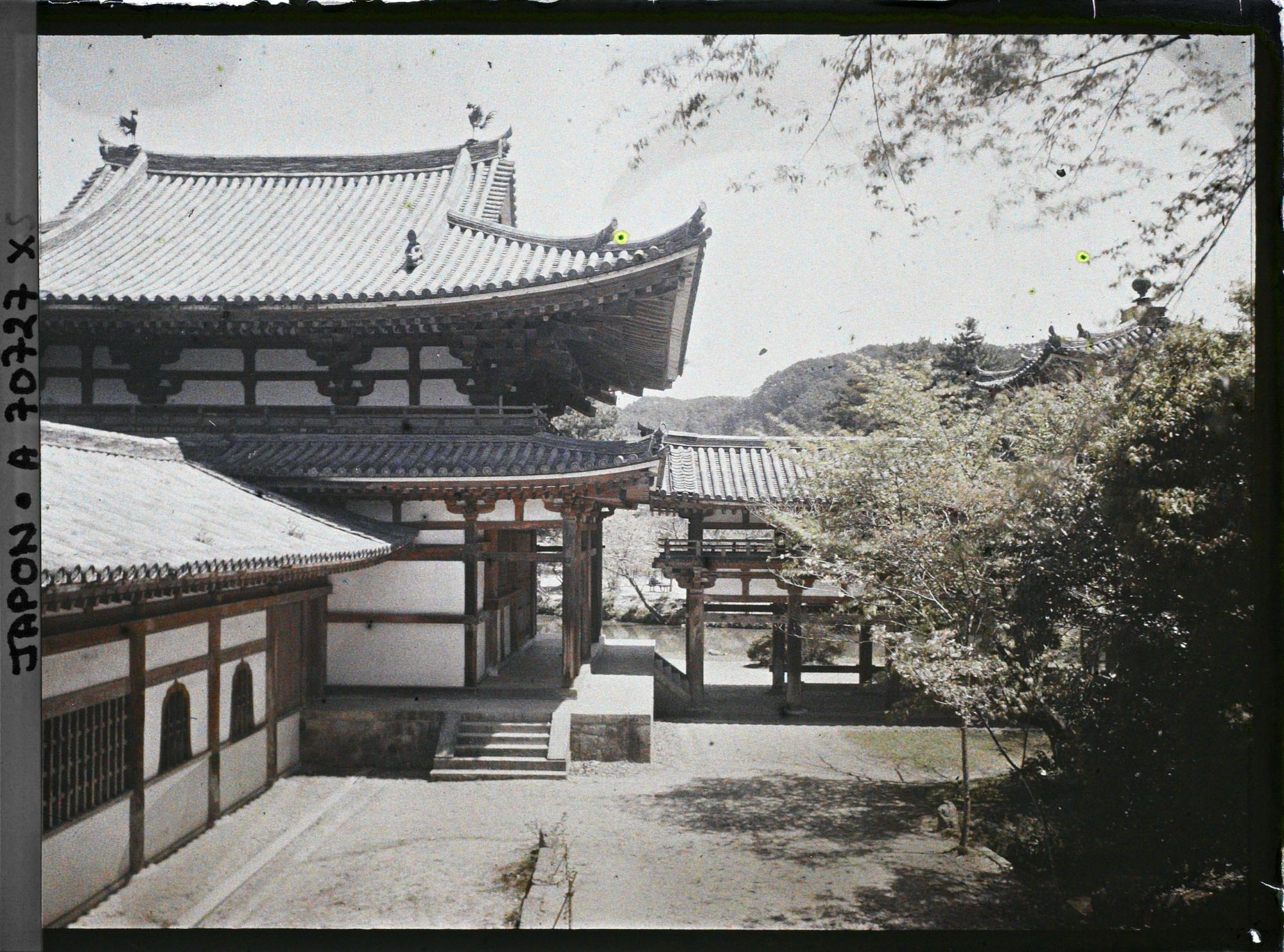 Image représentant Temple Byôdô-in : vue de la partie sud-ouest du Hôôdô (pavillon du phoenix)