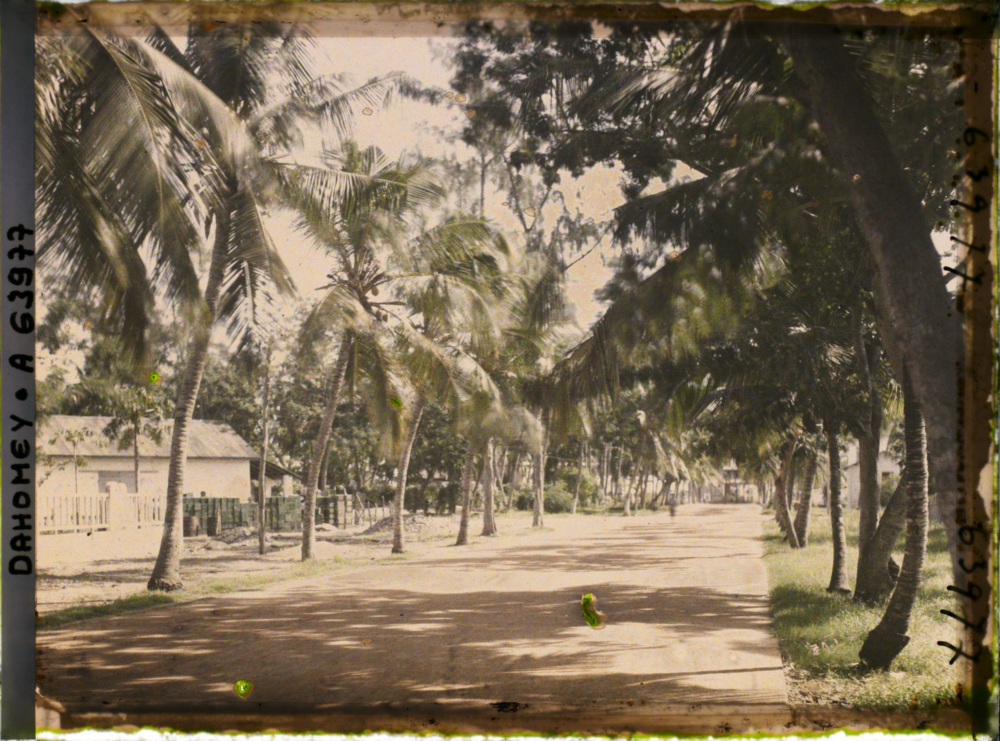 Image représentant L'avenue de la Douane, dans le quartier européen