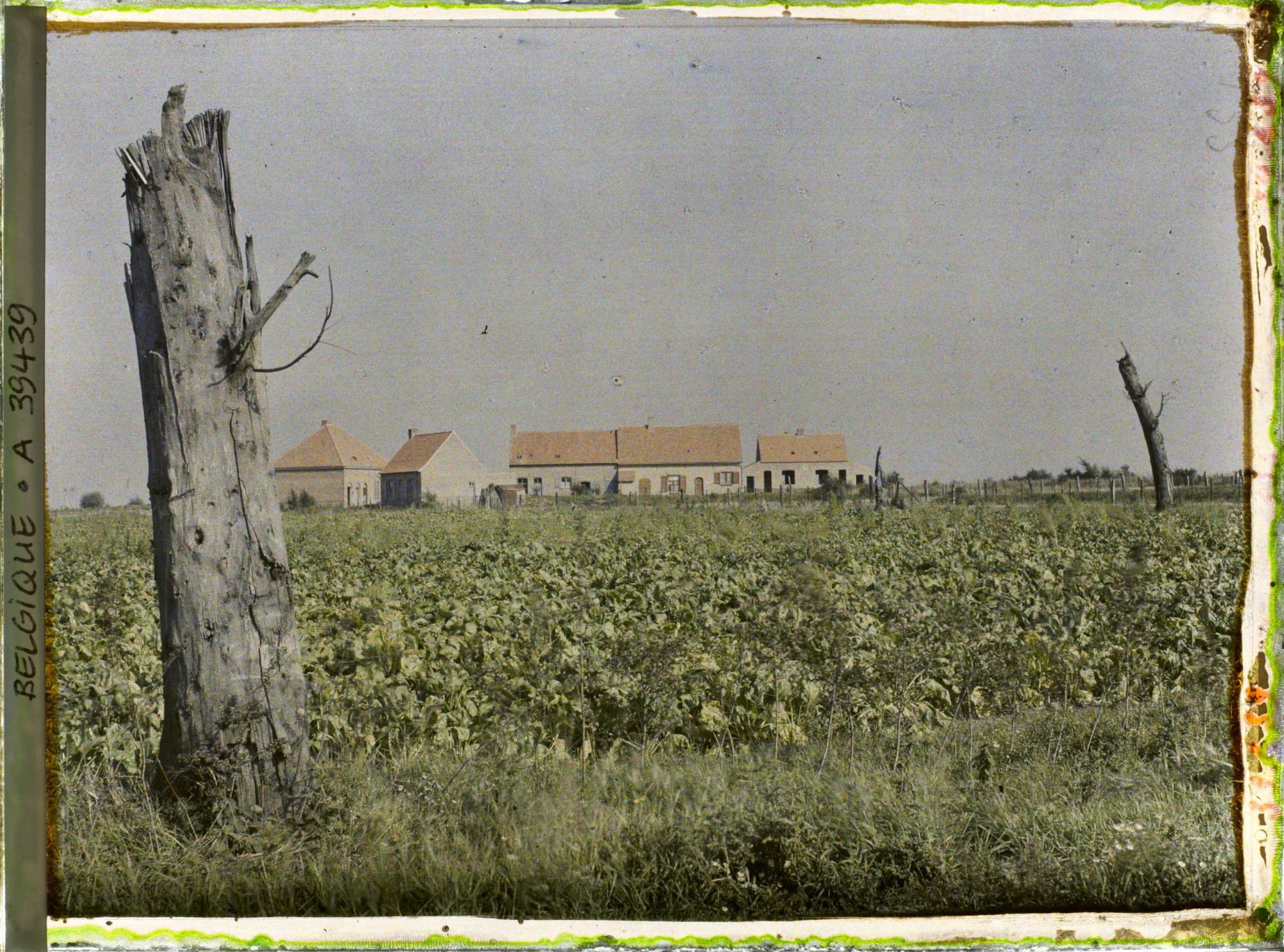 Image représentant Belgique, Pilkem, Nouvelle maison