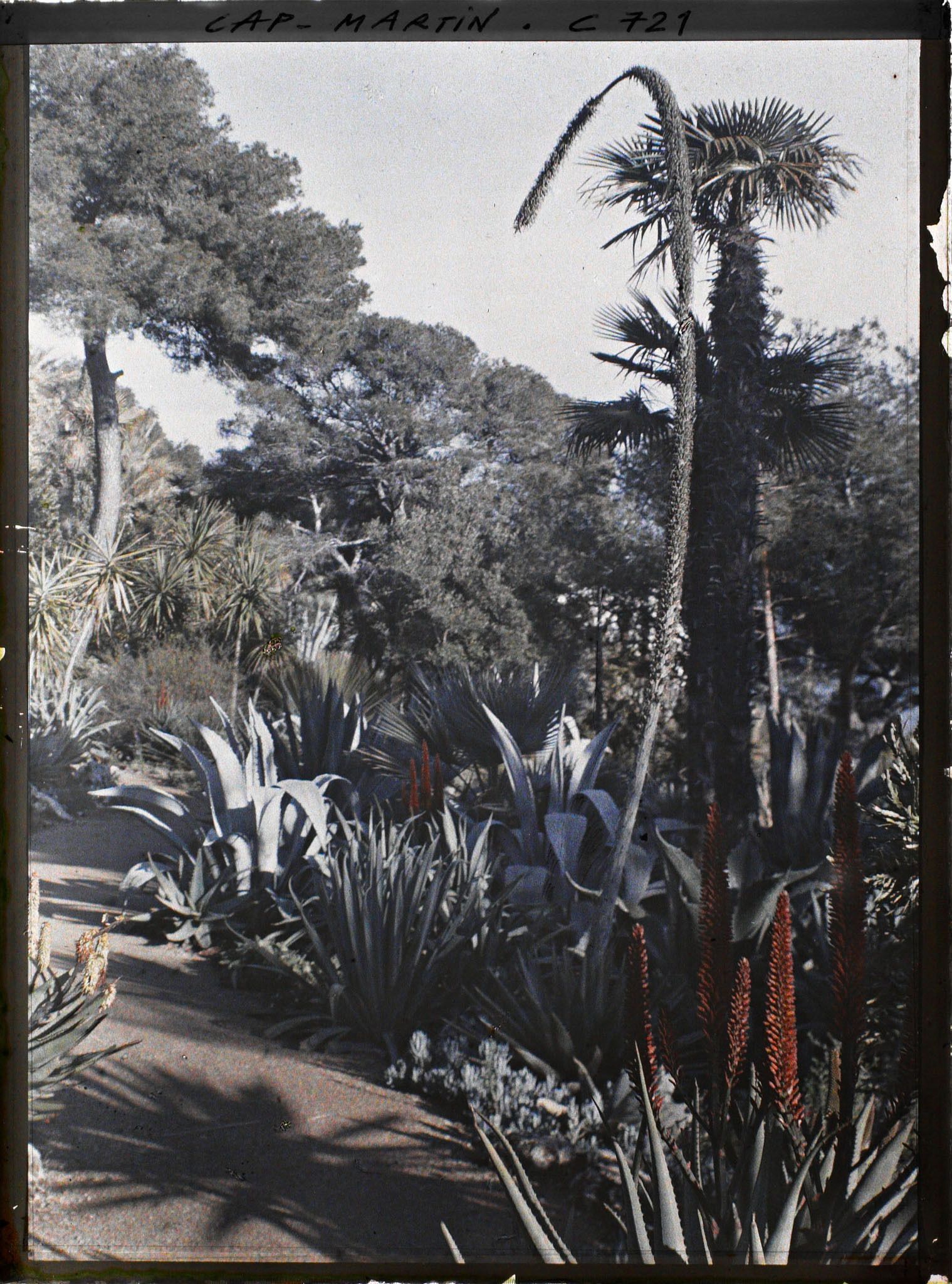 Image représentant Jardin divers