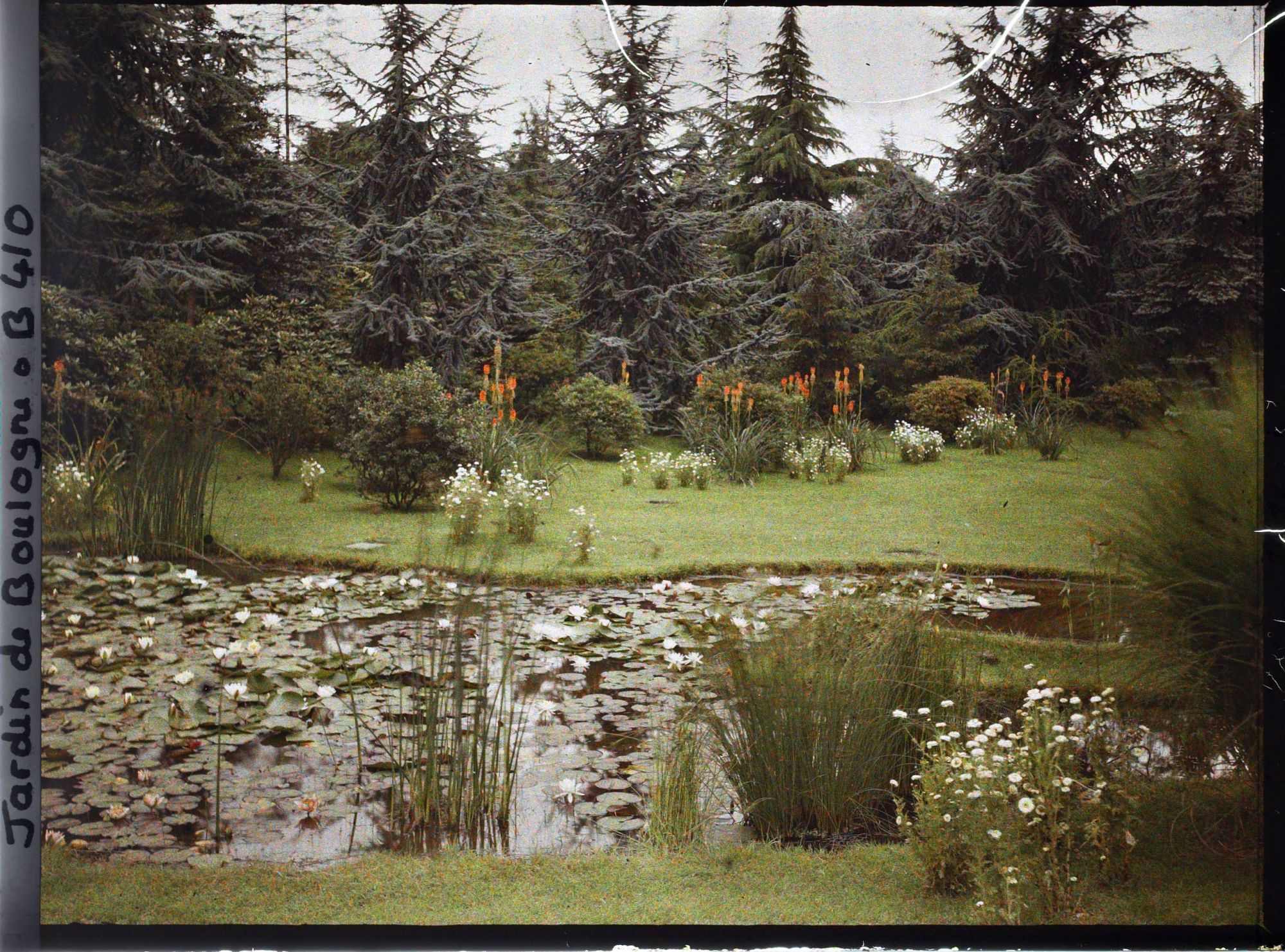 Image représentant Bassins du marais plantés de nénuphars en fleurs, vus en direction du sud-est