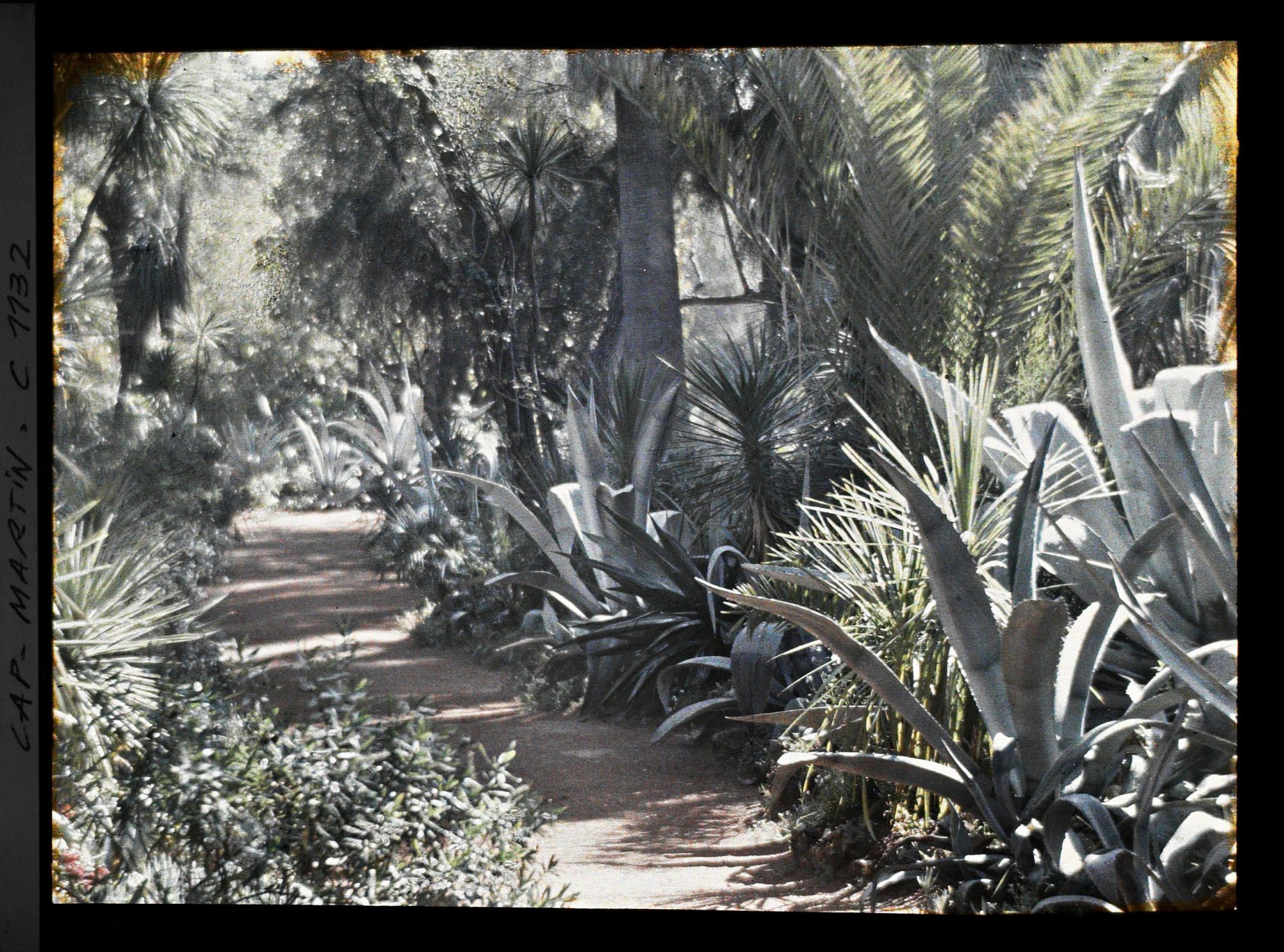 Image représentant le Jardin