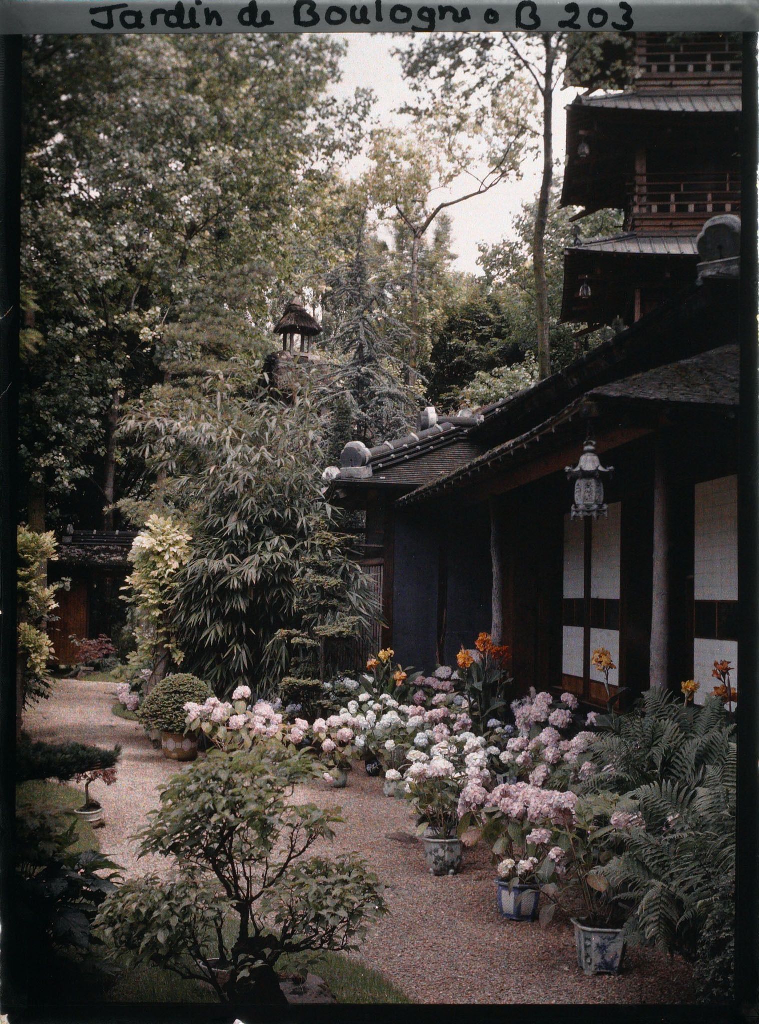 Image représentant Maison est au cœur du " village japonais ", ornée d'hortensias et de cannas en pots fleuris