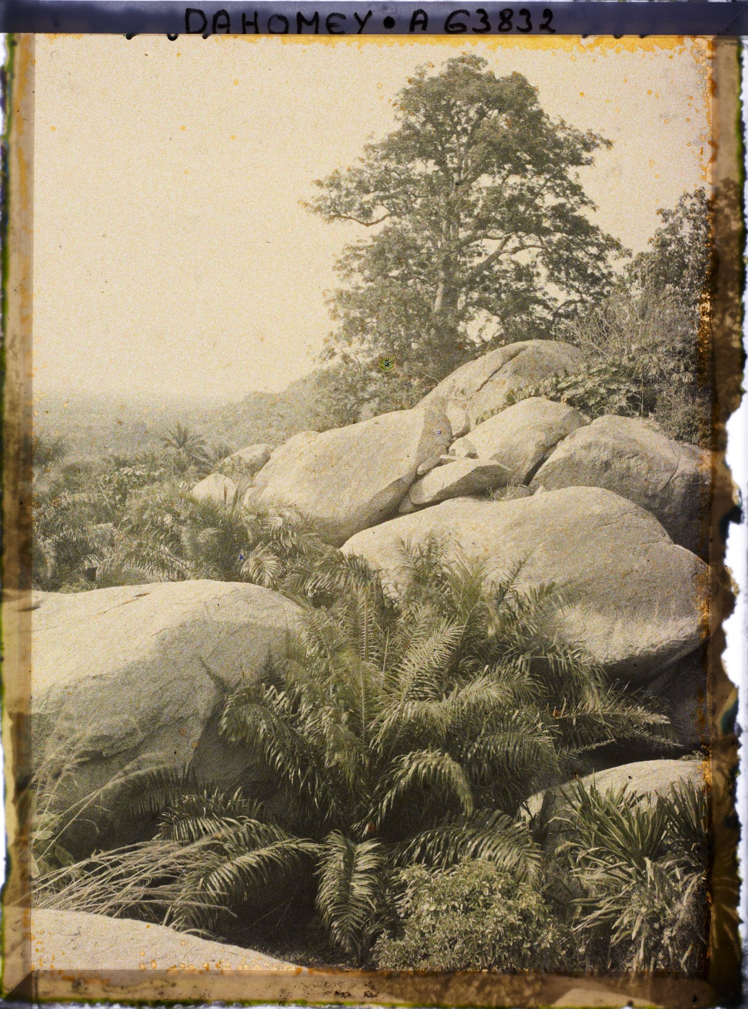 Image représentant Paysage de sommet montagneux