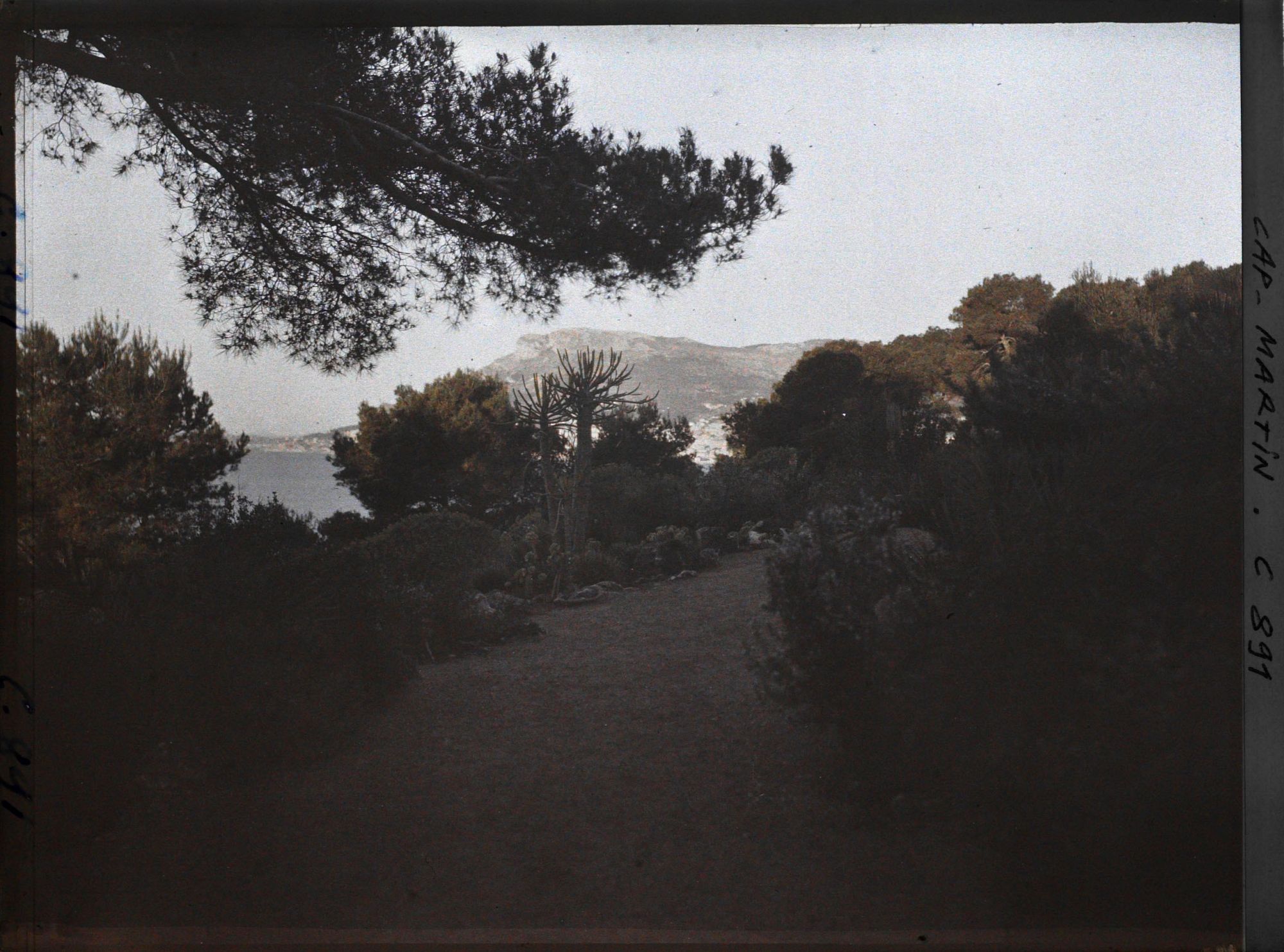 Image représentant Effet de Soleil levant s/ Monaco