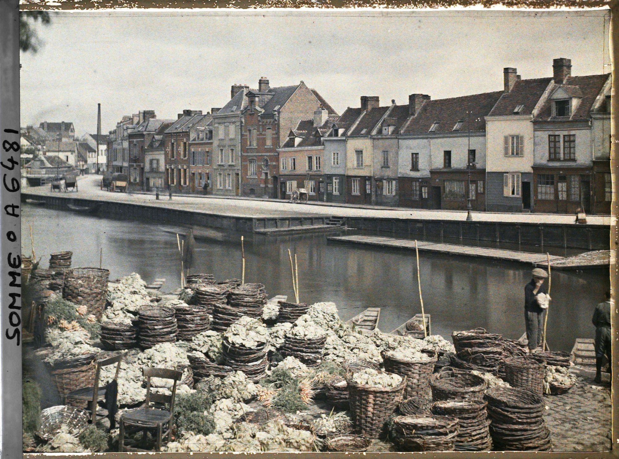 Image représentant France, Amiens, Marché aux légumes