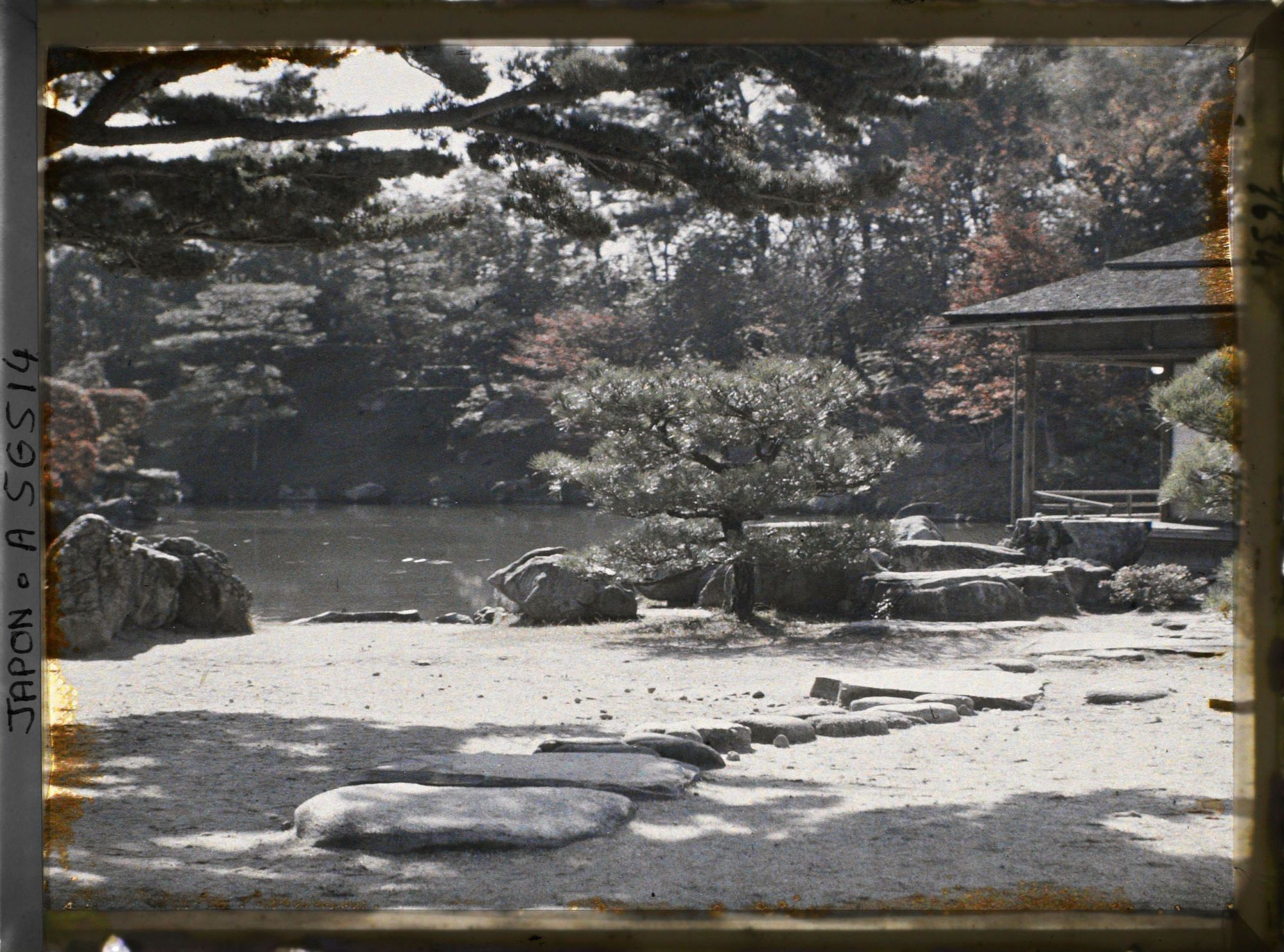Image représentant Parc Ritsurin-koen (ou Kuribayashi-koen) : jardin de la maison de thé Kikugetsutei et le pin Neagari-goyomatsu