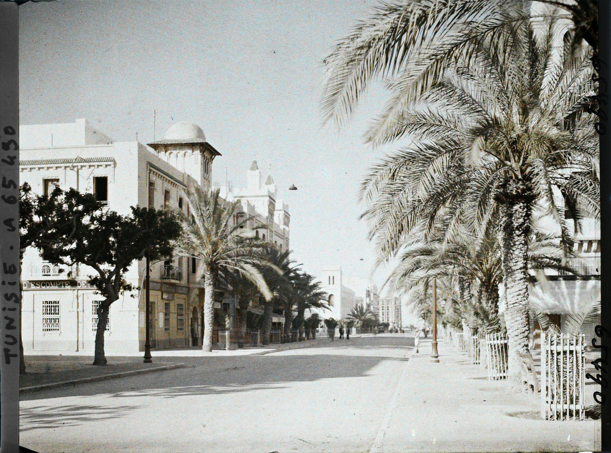 Image représentant L'avenue Jules Gau