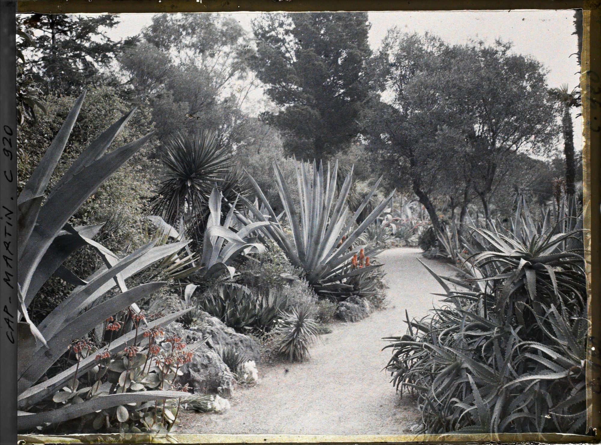 Image représentant Le Jardin