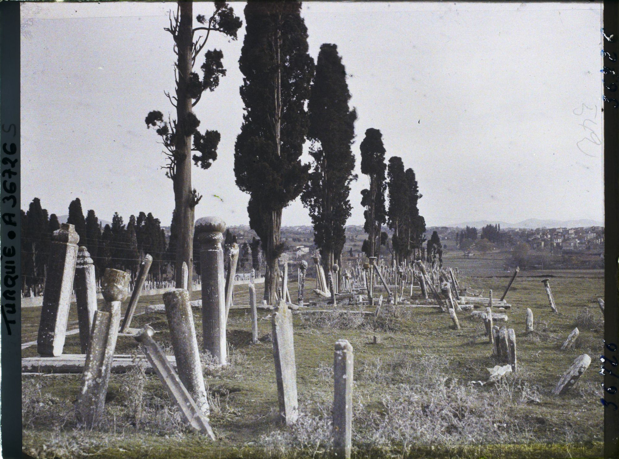 Image représentant Turquie, Scutari d'Asie, Le Cimetière