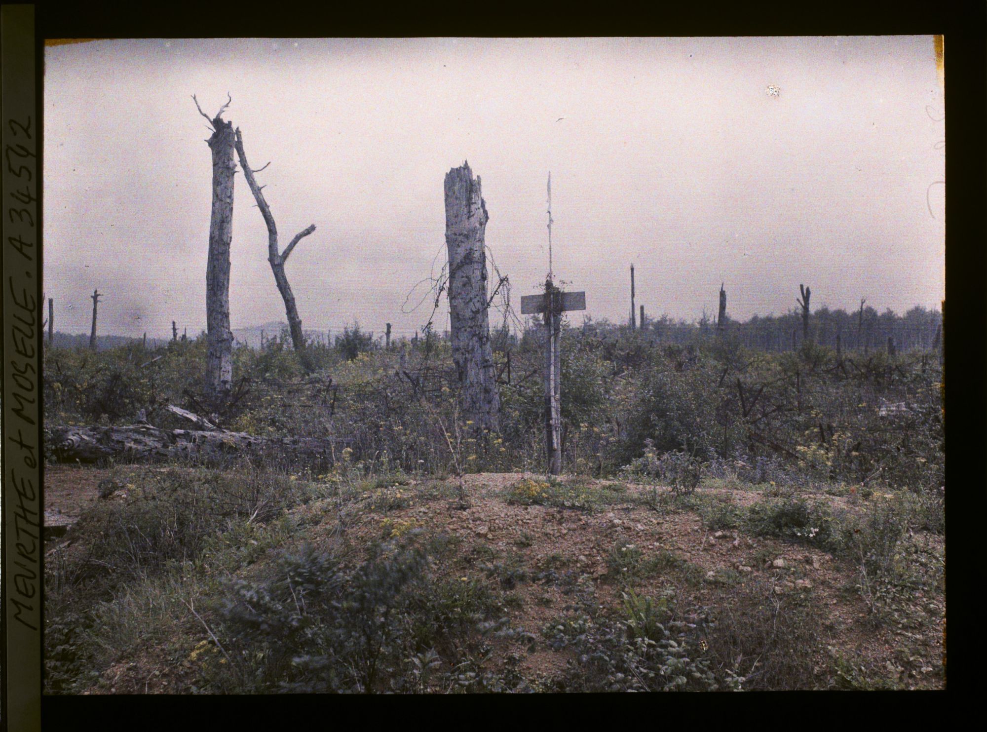 Image représentant France, Bois le Prêtre, Ancien emplacement de la Croix des Carmes