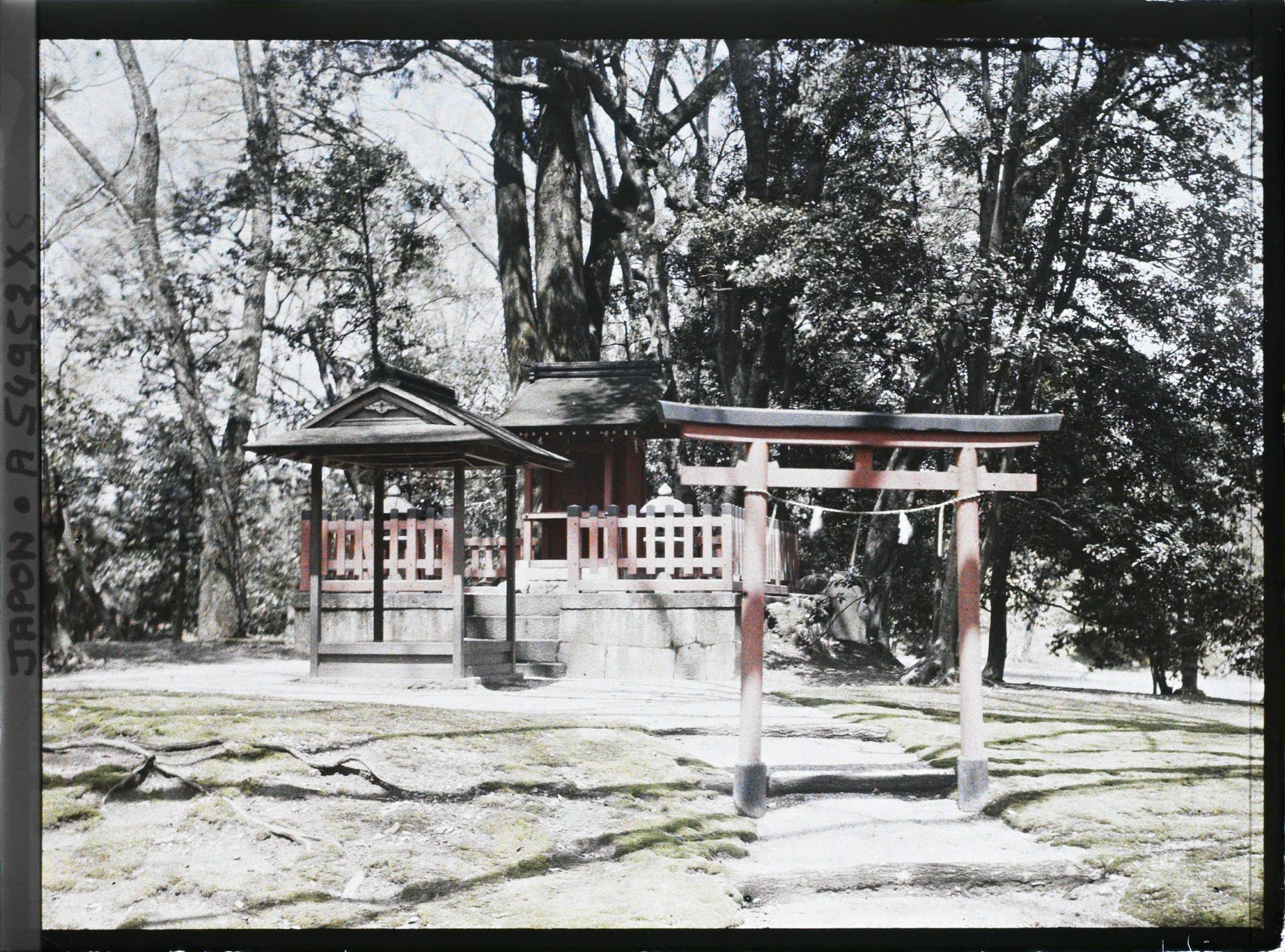 Image représentant Le palais impérial Sento (Sento-gosho) : le sanctuaire shintô Kakinomoto