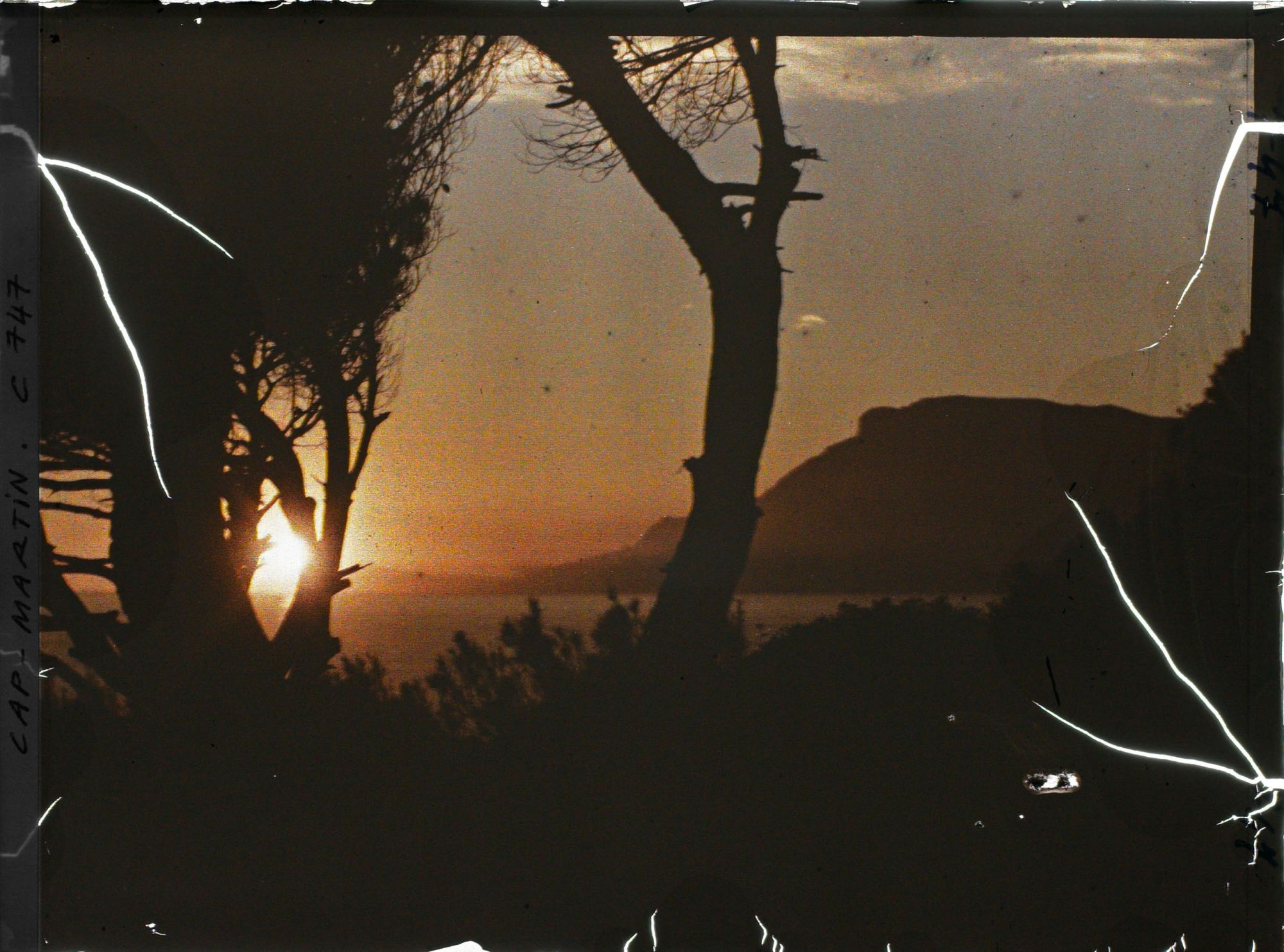 Image représentant soleil couchant sur la tête de chien