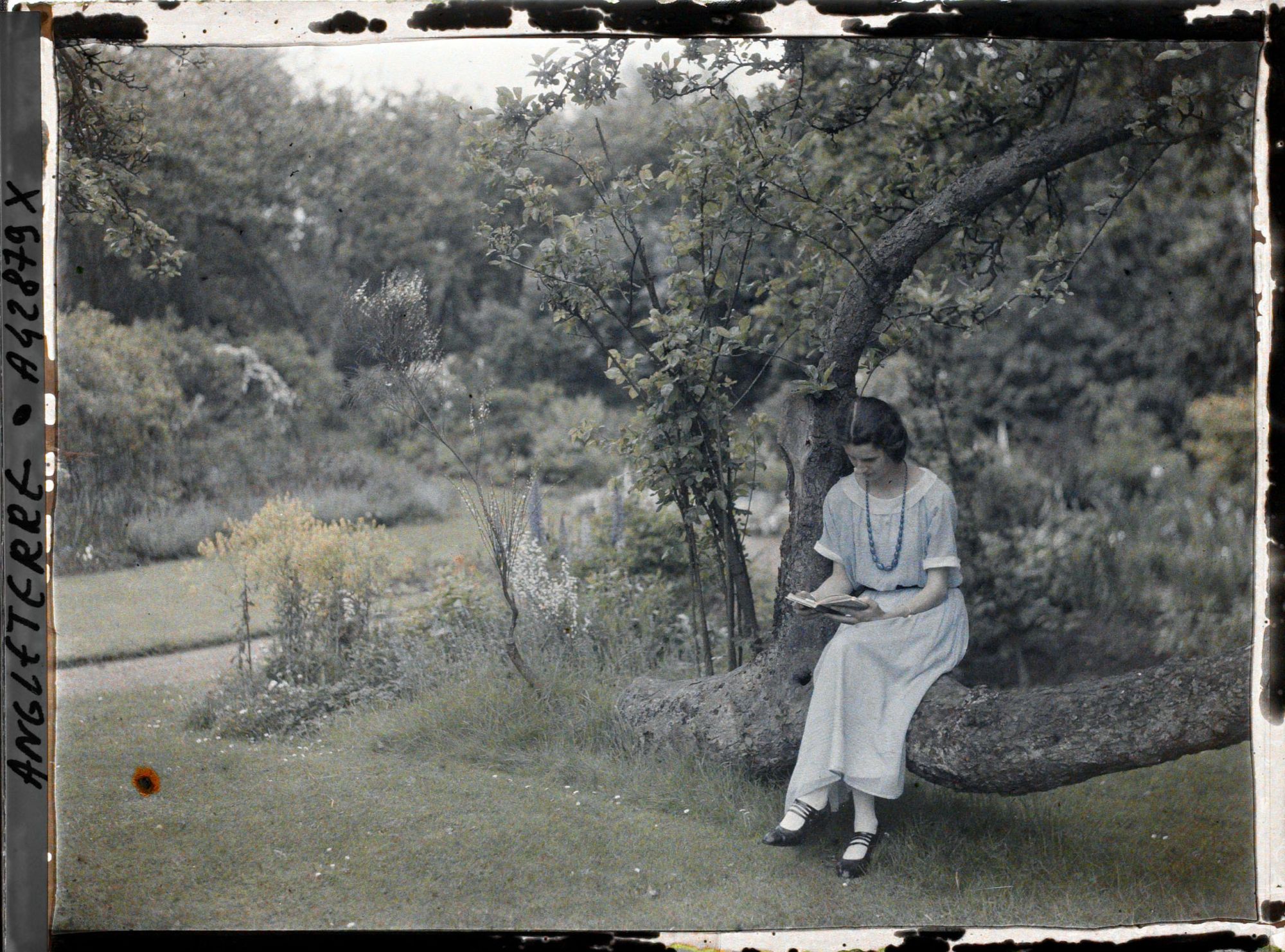 Image représentant Jacqueline Camerlynck lisant dans le jardin de Saint Hugh' s College