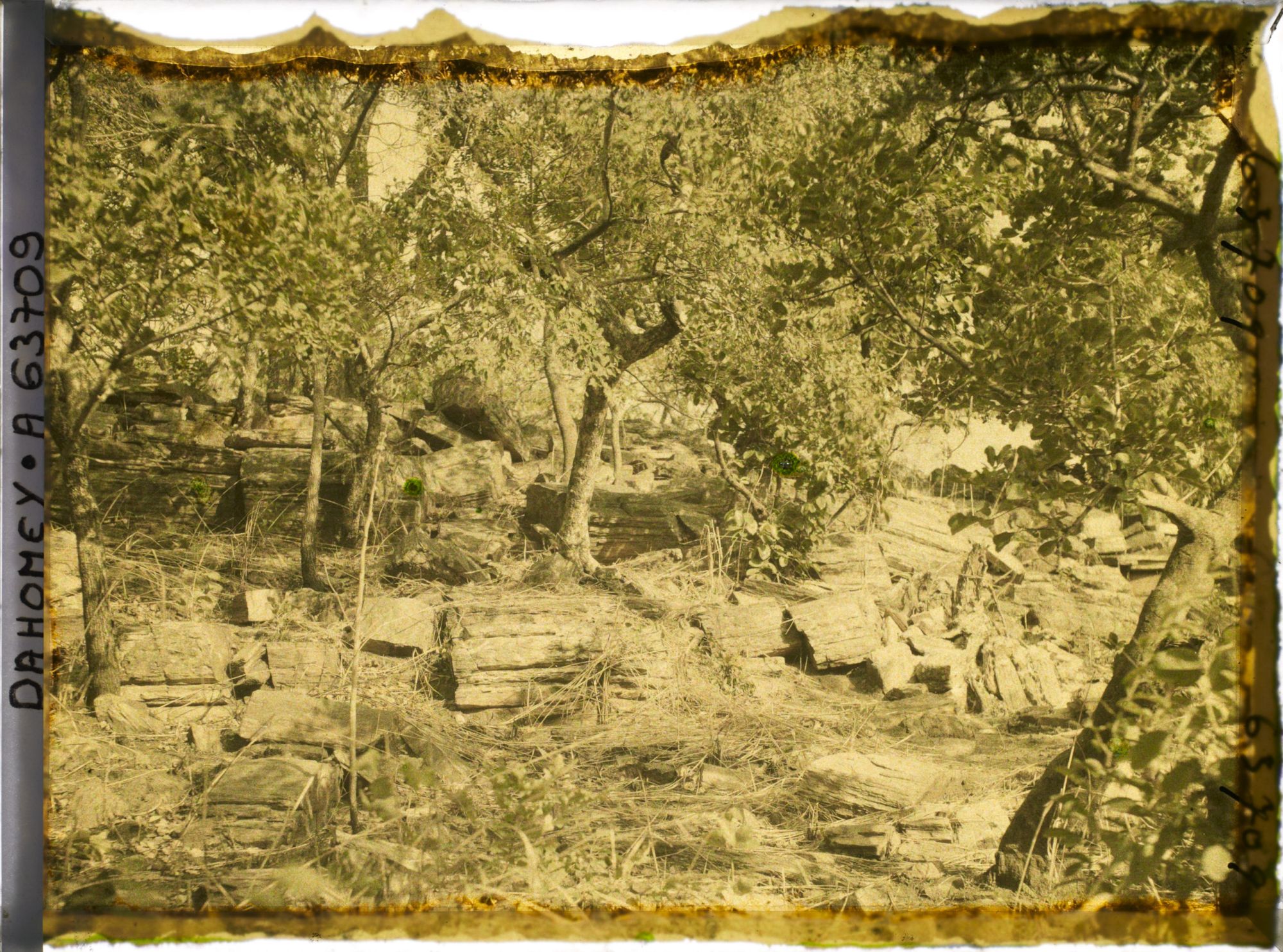 Image représentant Autel du fétiche de la montagne ?