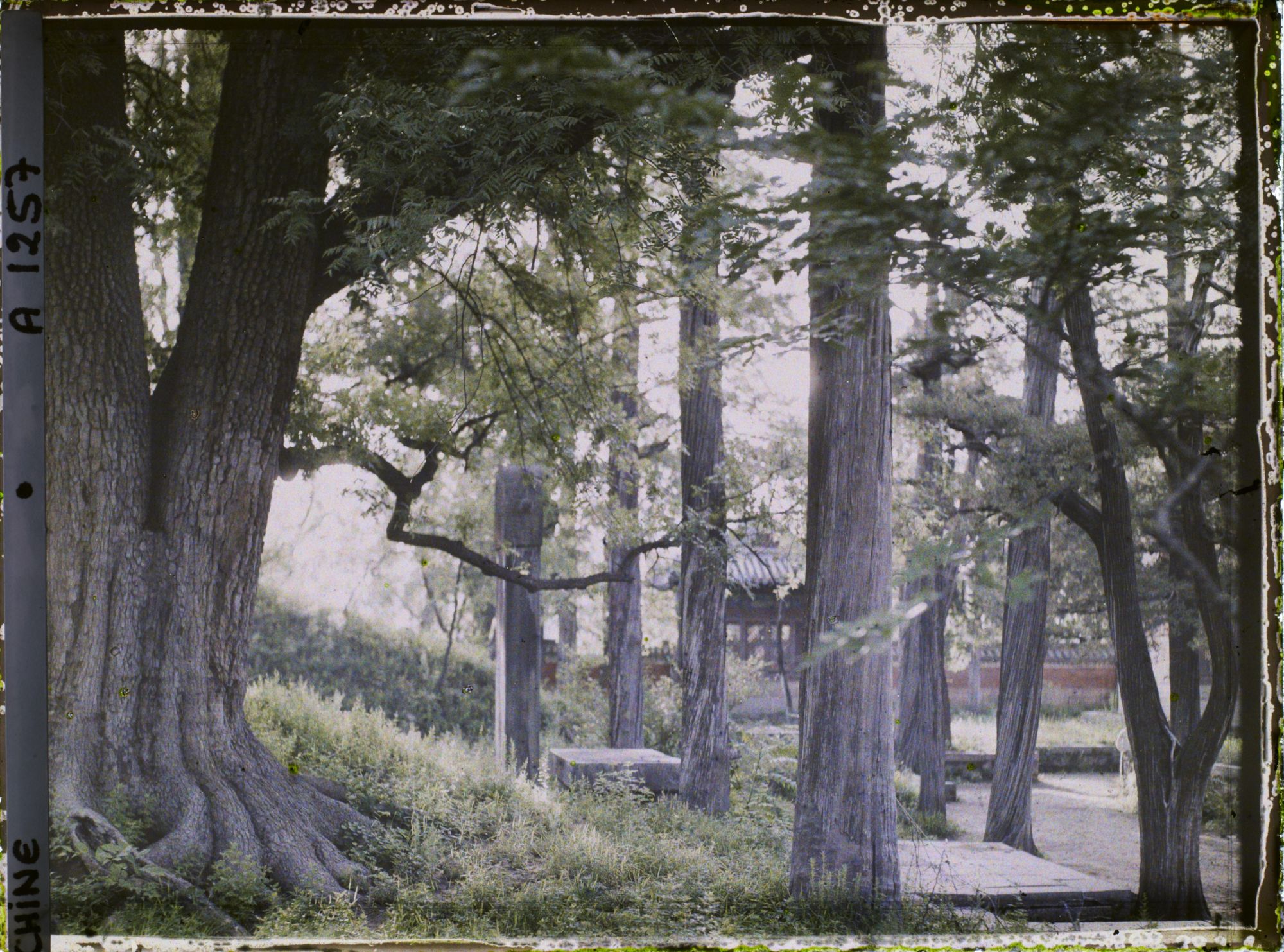 Image représentant Konglin, la nécropole de la famille de Confucius