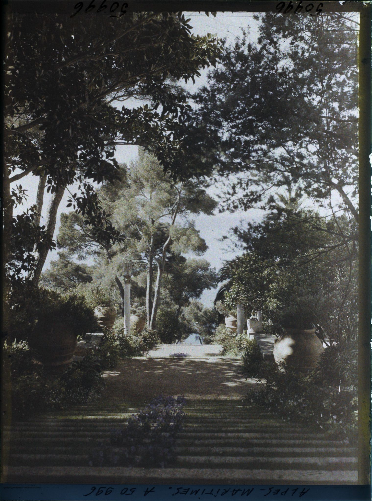 Image représentant Grand escalier fleuri du jardin de la villa Cypris surplombant la mer