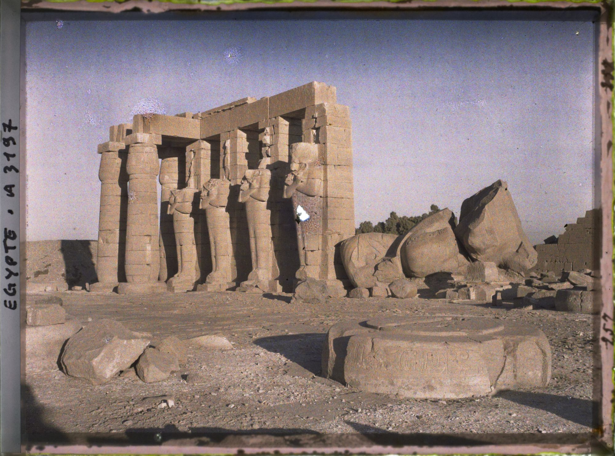 Image représentant Piliers osiriaques de Ramsès II du Ramesseum