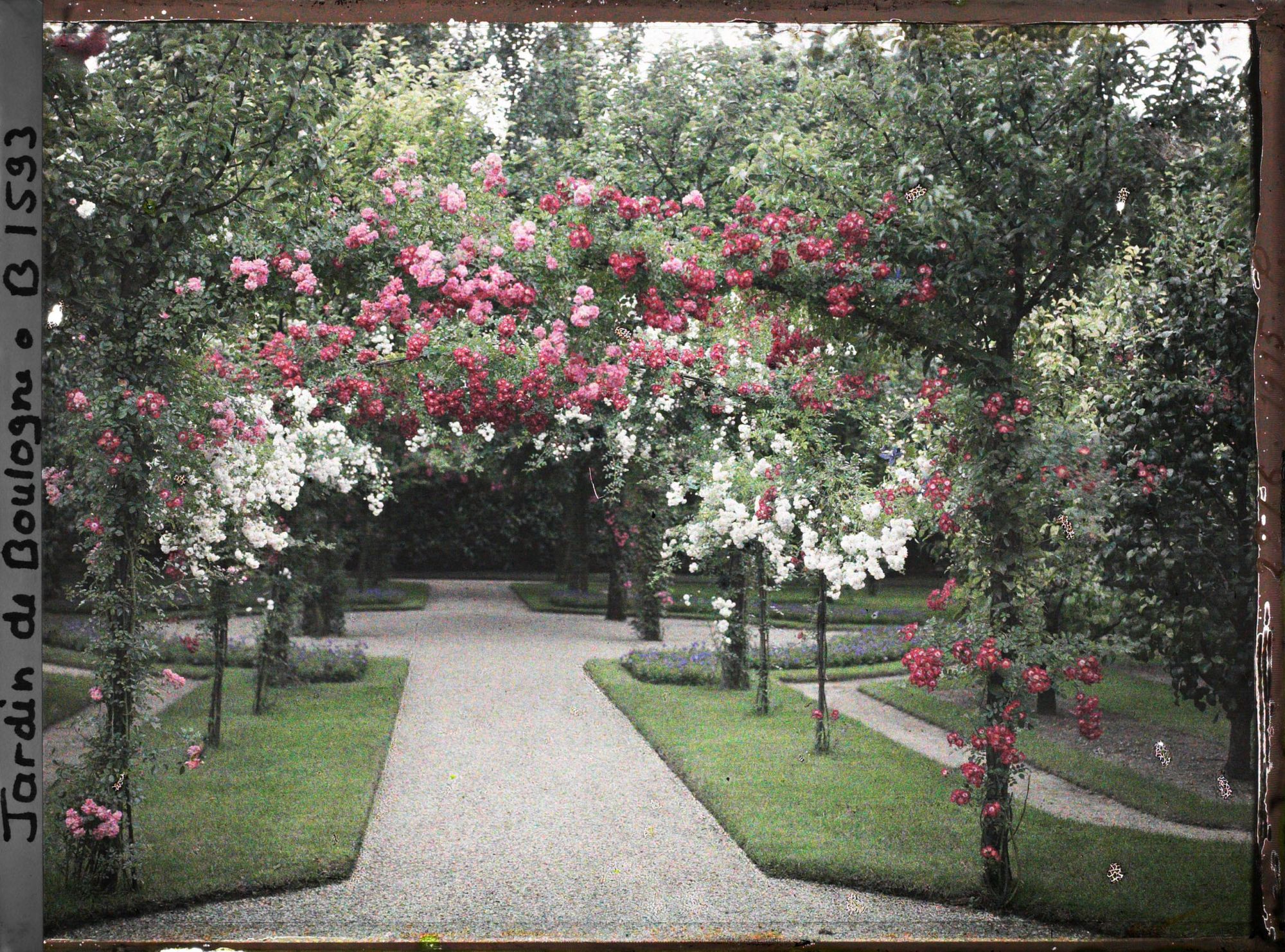 Image représentant Axe central du verger-roseraie vu depuis le second carrefour avant la dépendance