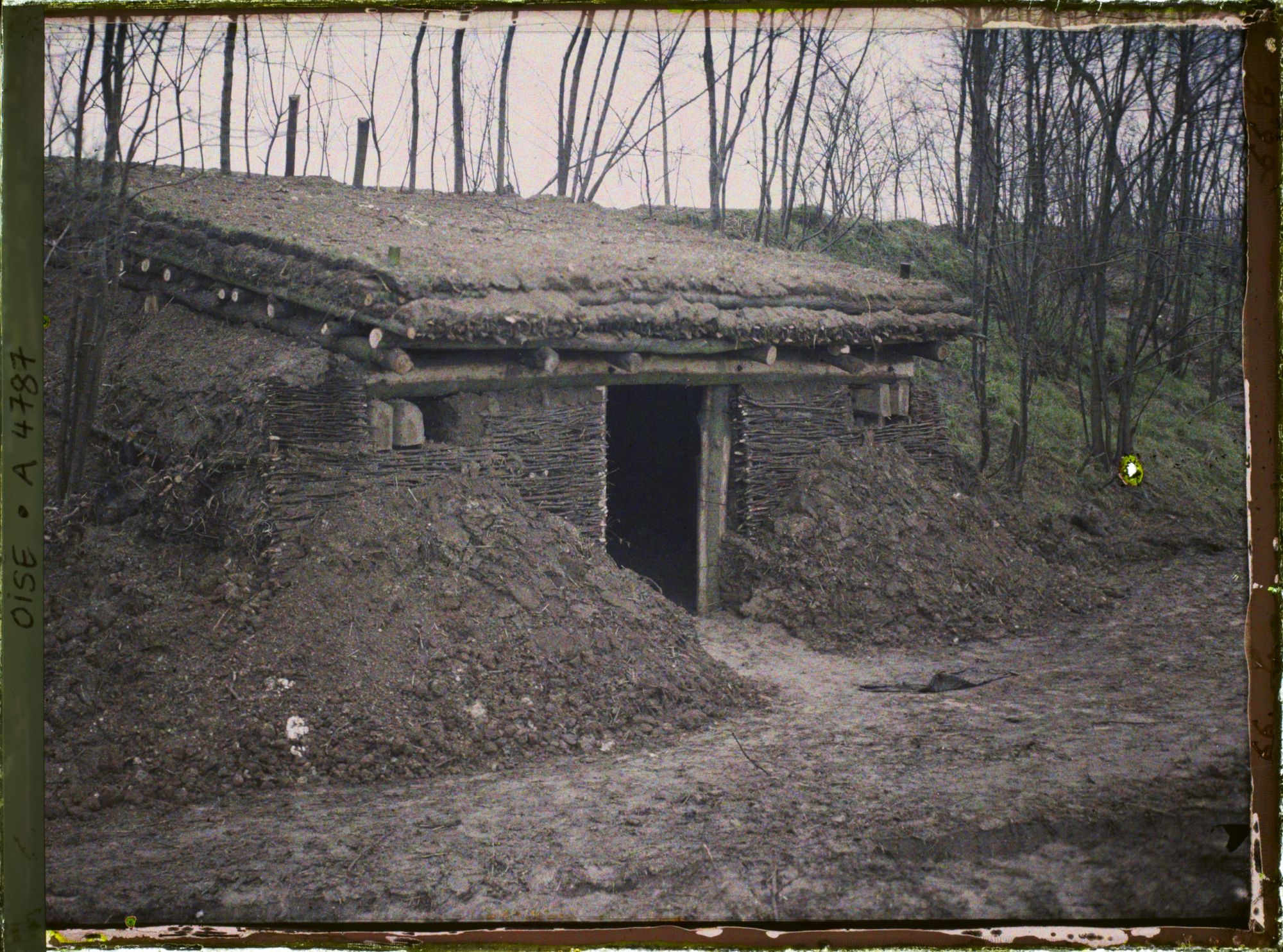 Image représentant Une cuisine de campagne