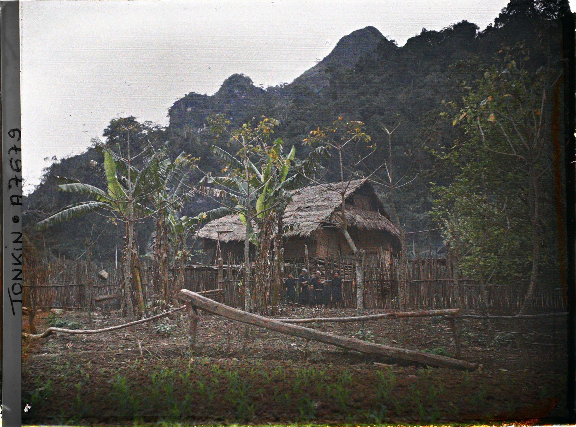 Image représentant Une habitation thaï dans le massif de Bac-so'n (ou massif de Cai-binh)