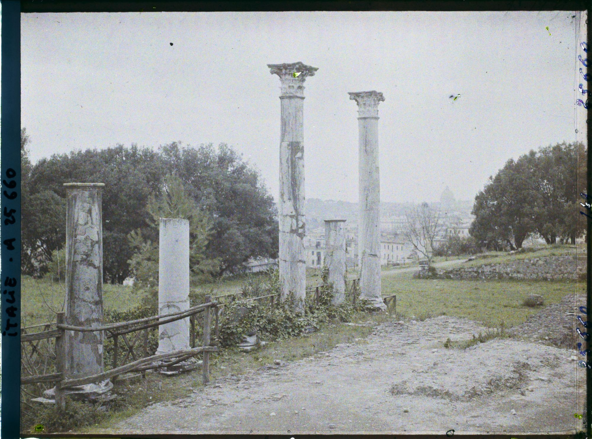 Image représentant Vue prise depuis le mont Palatin en direction de Saint Pierre