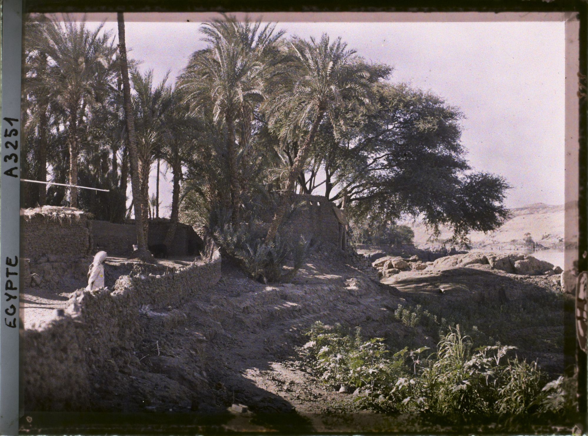 Image représentant Rivages de l'île d'Eléphantine
