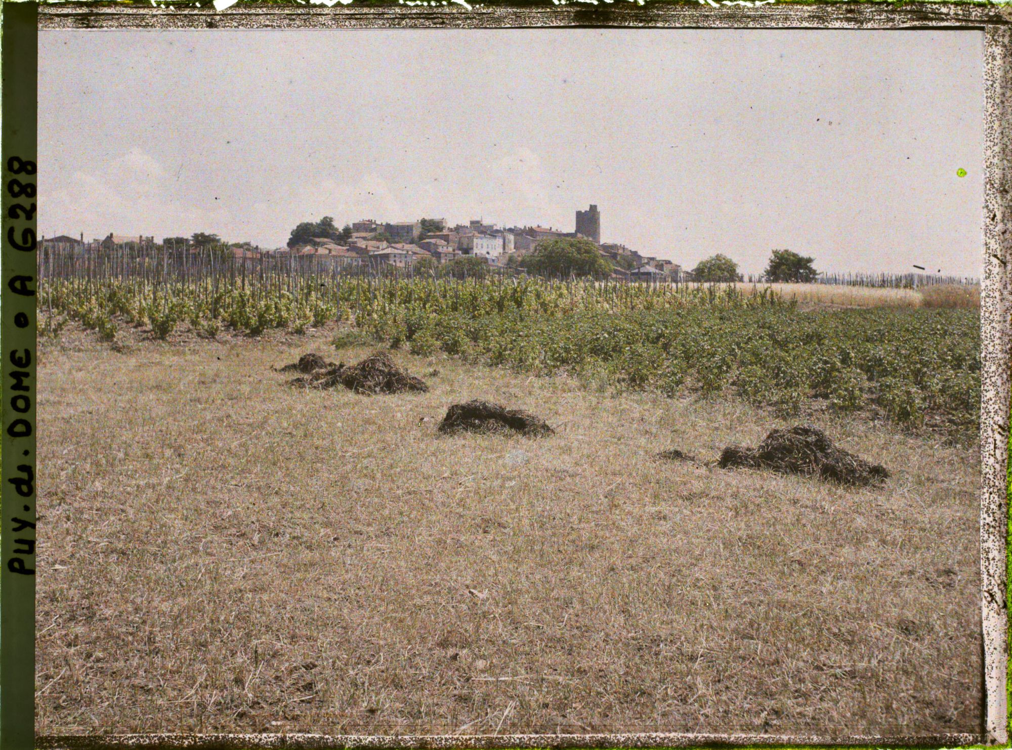 Image représentant France