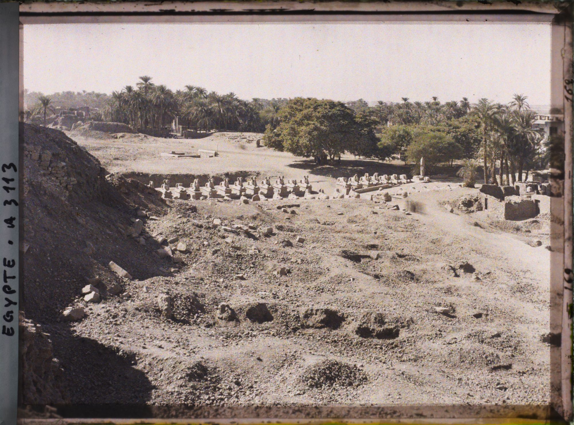 Image représentant Vue sur l'allée bordée de 40 béliers menant à l'entrée du temple de Karnak