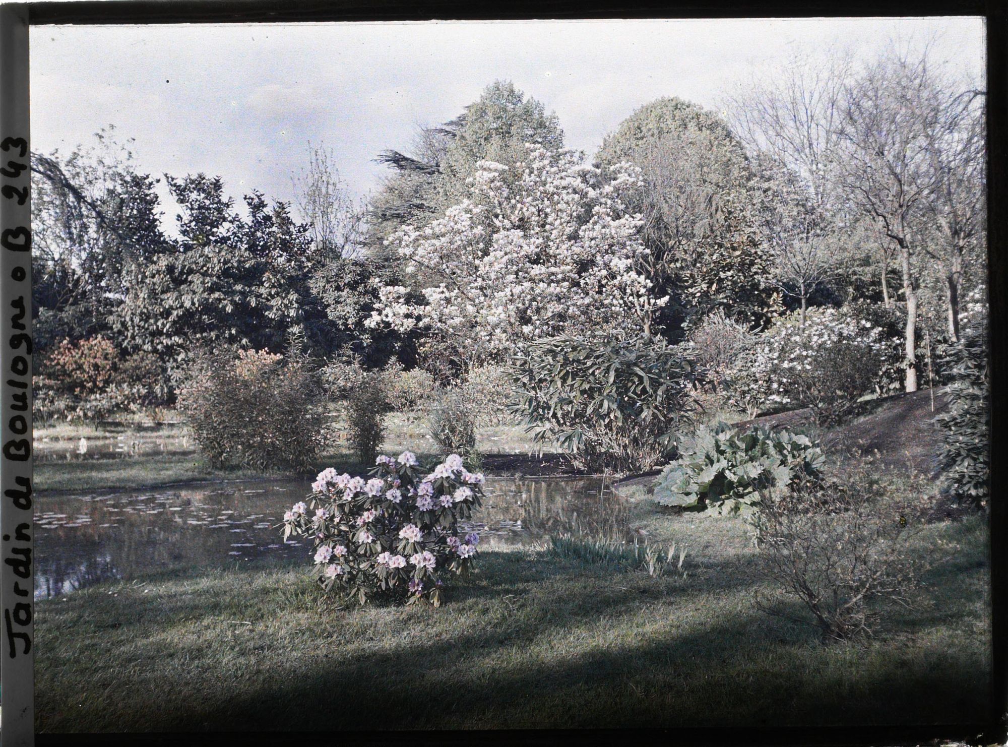Image représentant Partie nord-est du marais, vue à proximité du bord est des " étangs "