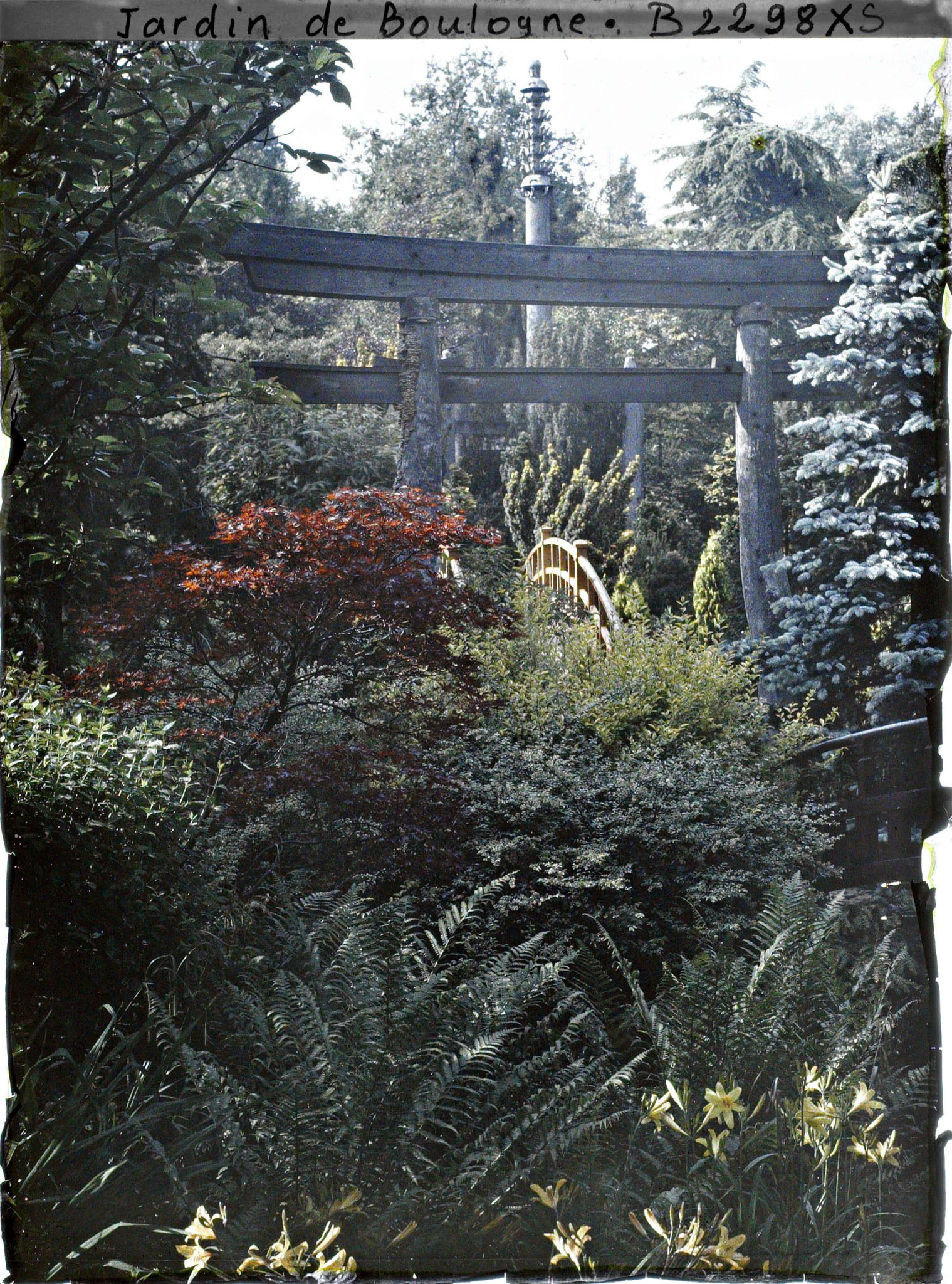 Image représentant Torii dans un environnement arboré, par-delà le pont rouge du " sanctuaire japonais "
